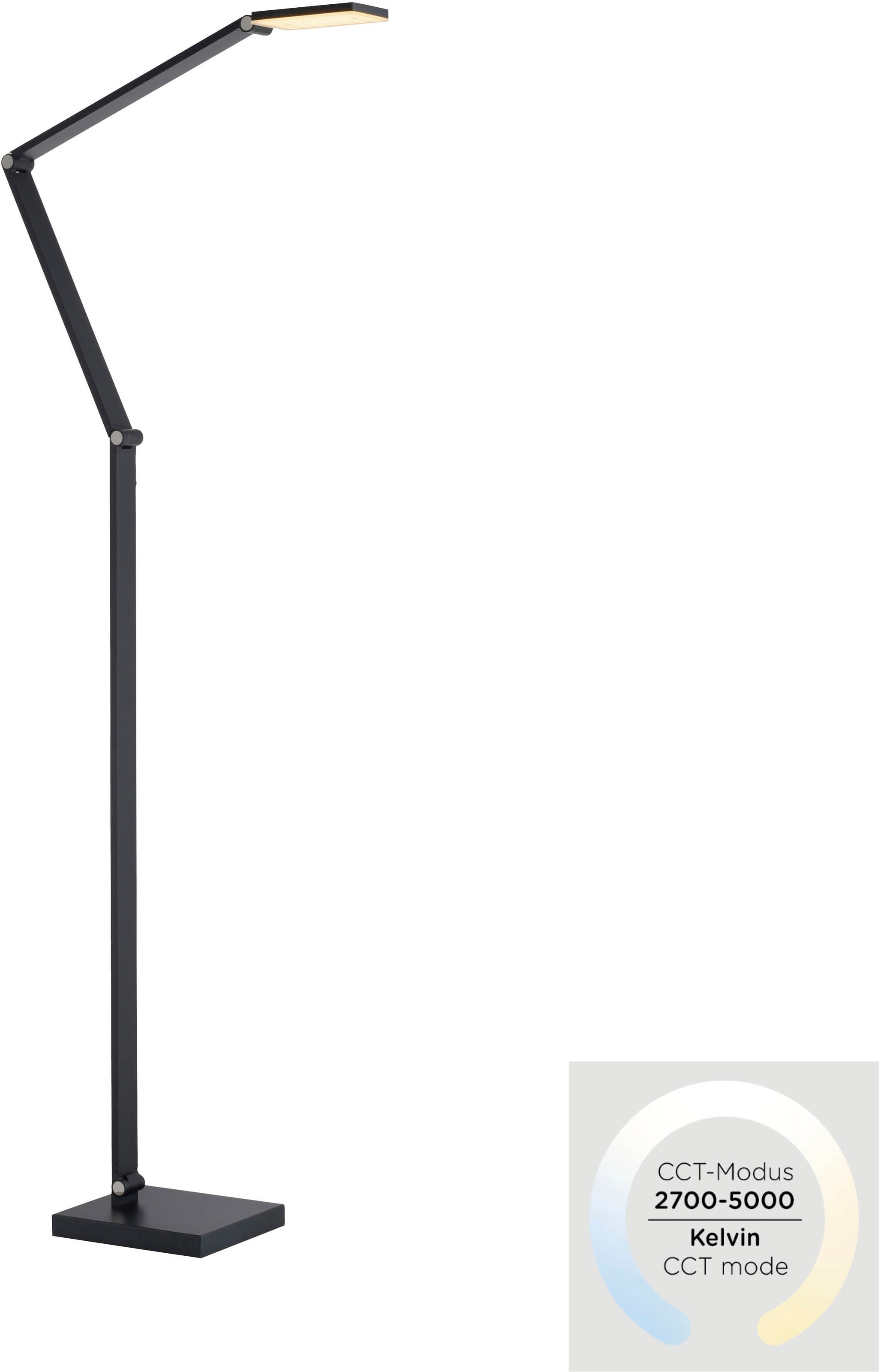 Paul Neuhaus LED Stehlampe »SAMSKY« LED-Board 1 Stk. warmweiß - kaltweiß Tastdimmer, CCT 2700-5000K, Memory, Höhenverstellbar