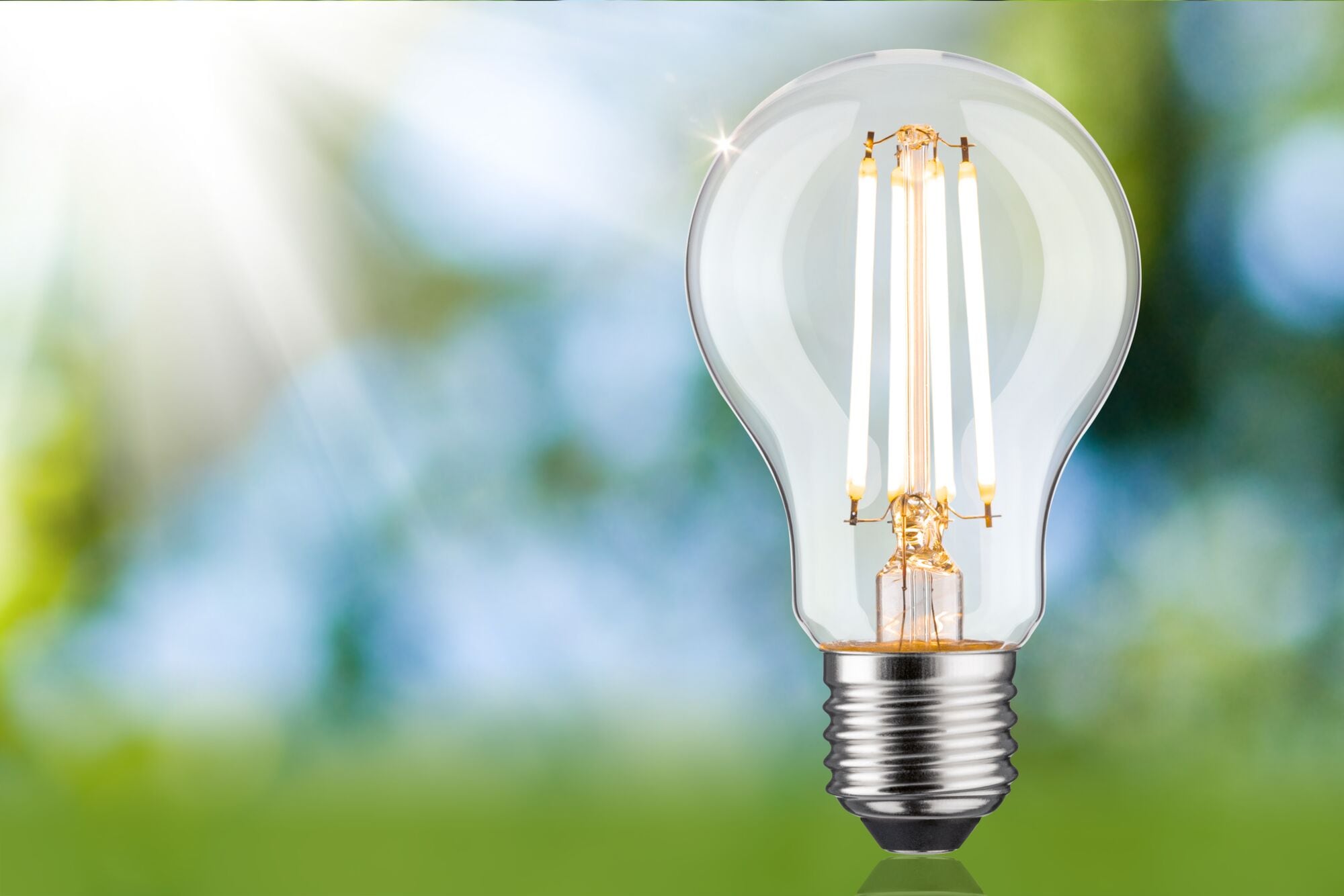 Paulmann LED-Leuchtmittel »Eco-Line Filament 230V LED Birne E27 1521lm 8,2W 3000K dimmbar Klar«, E27, 1 St., Warmweiß