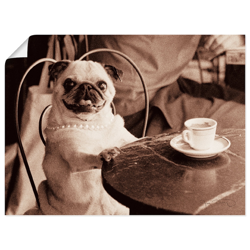 Artland Wandbild »Kaffee Mops«, Haustiere, (1 St.)