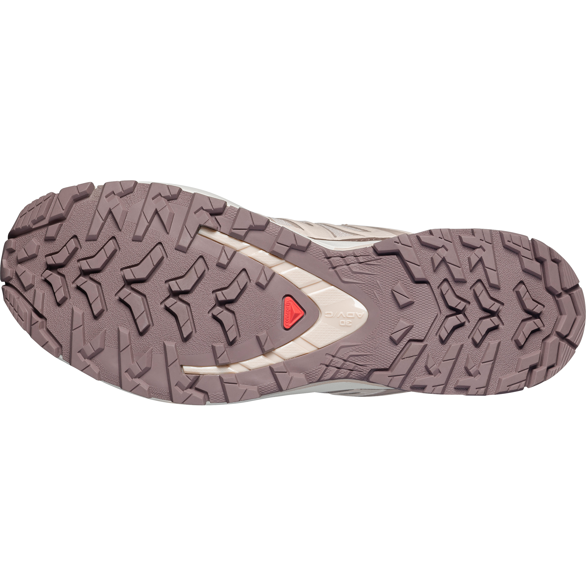 Salomon Trailrunningschuh »XA PRO 3D V9 LIFELONG«