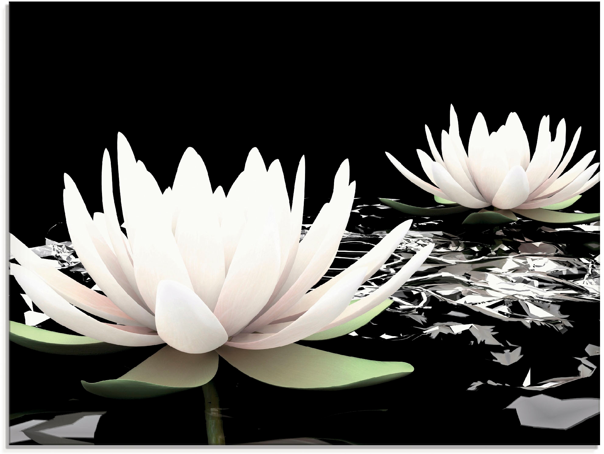 Glasbild ARTLAND "Zwei Lotusblumen auf dem Wasser", schwarz (farbe bild(er): schwarz), B:80cm H:60cm, Bilder, in verschiedenen Größen