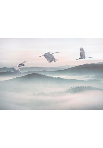 Komar Vliestapete »Mystic Cranes« 400x280 cm...