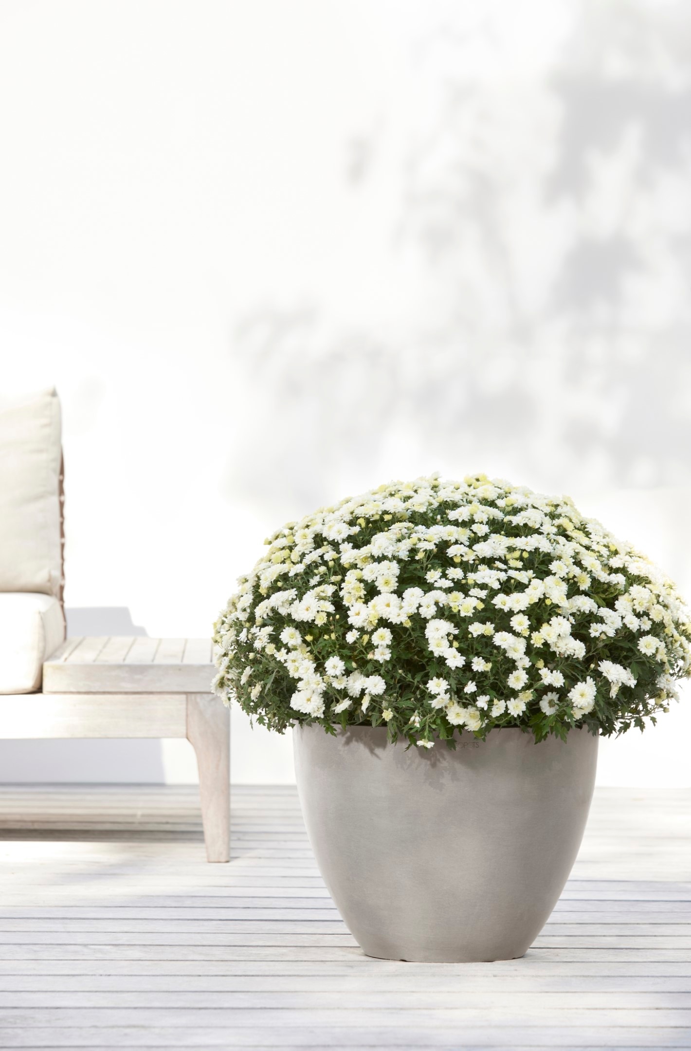 ECOPOTS Blumentopf »ANTWERP Taupe«, BxTxH: 40x40x30 cm