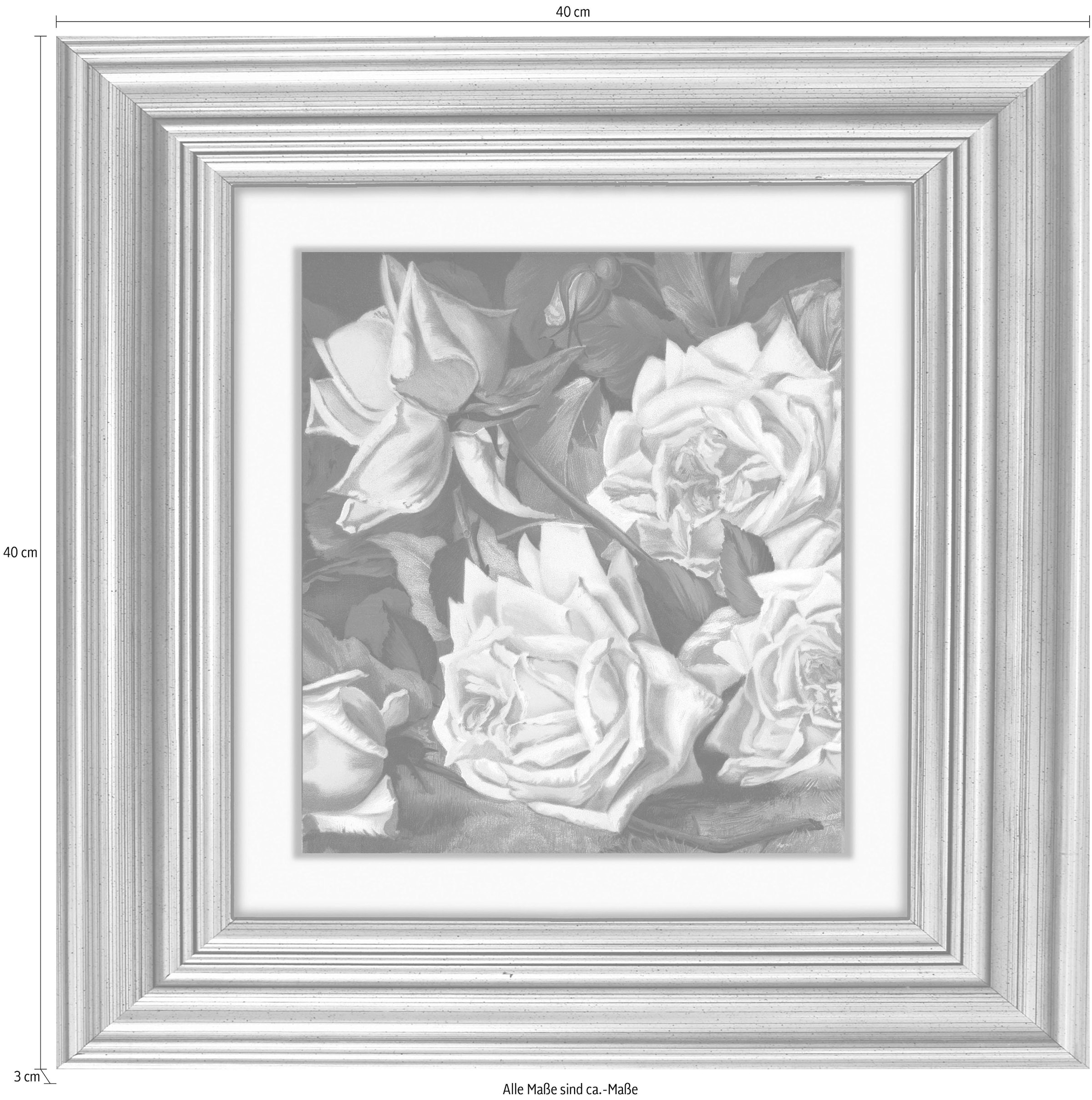 Acrylglasbild Rosen Auf Rechnung Kaufen Baur