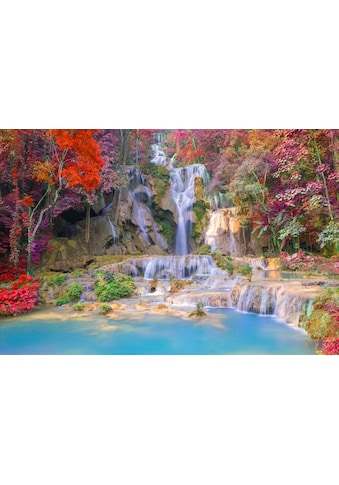 Fototapete »WASSERFALL-BÄUME FLUSS SEE STEINE BLUMEN BERGE HERBST«