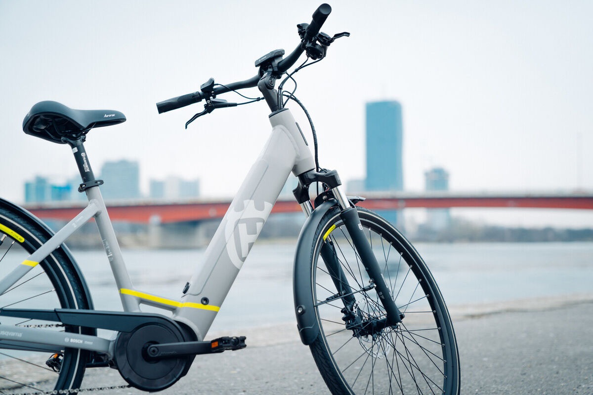 Husqvarna E-BICYCLES E-Bike »E-Citybike Towner 2«, 8 Gang, Shimano, Nexus, Mittelmotor 250 W, (28 Zoll, Bosch Motor, Rücktritt, Scheibenbremsen, mit Straßenzulassung), Pedelec, Elektrofahrrad für Herren u. Damen, Cityrad, tiefer Einstieg