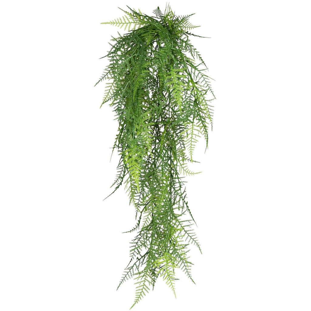 Creativ green Kunstranke »Hänger Asparagus plumosus«