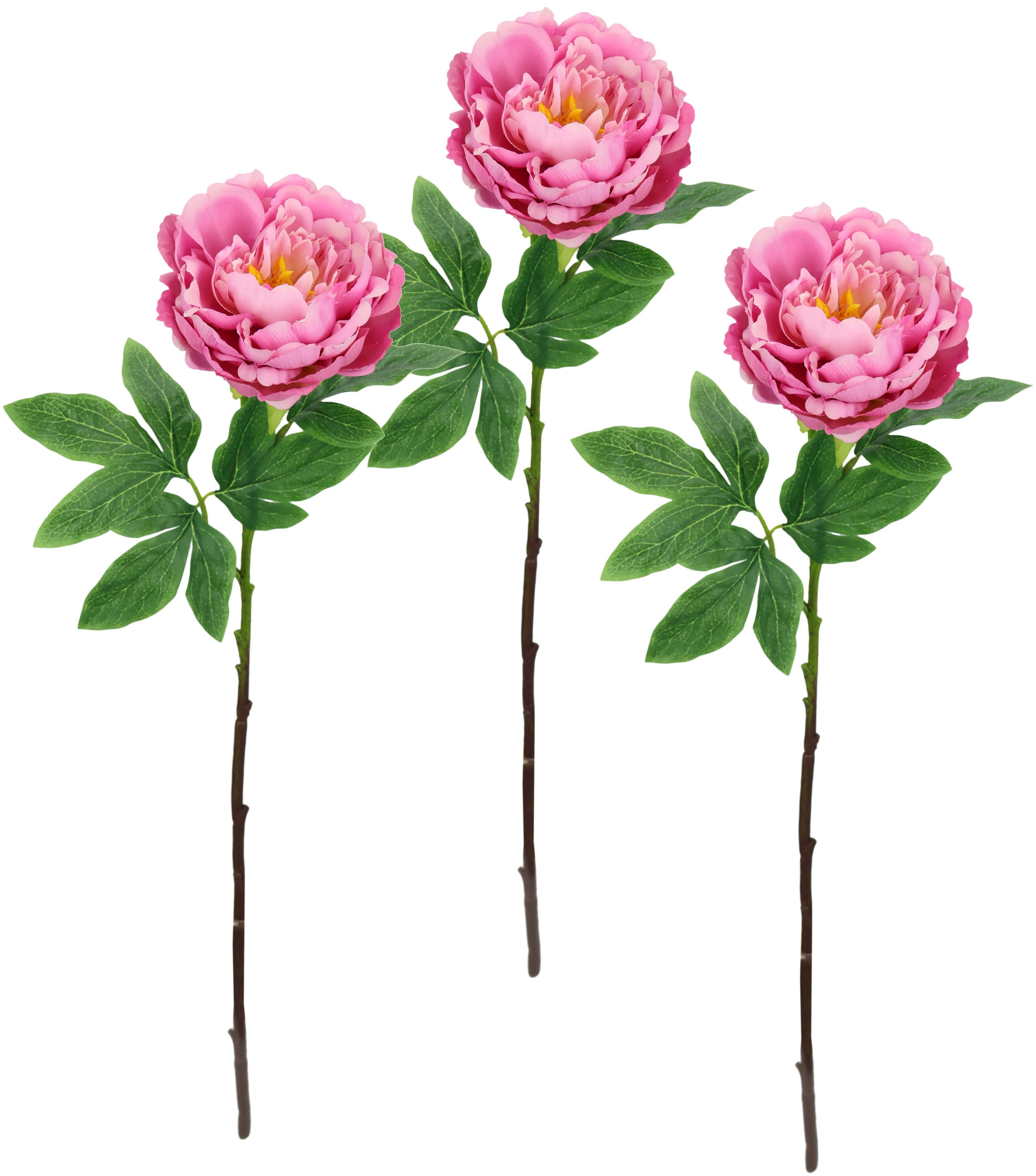 I.GE.A. Kunstblume "Päonie Bauernrose", Pfingstrosen Einzelblume, 3er Set