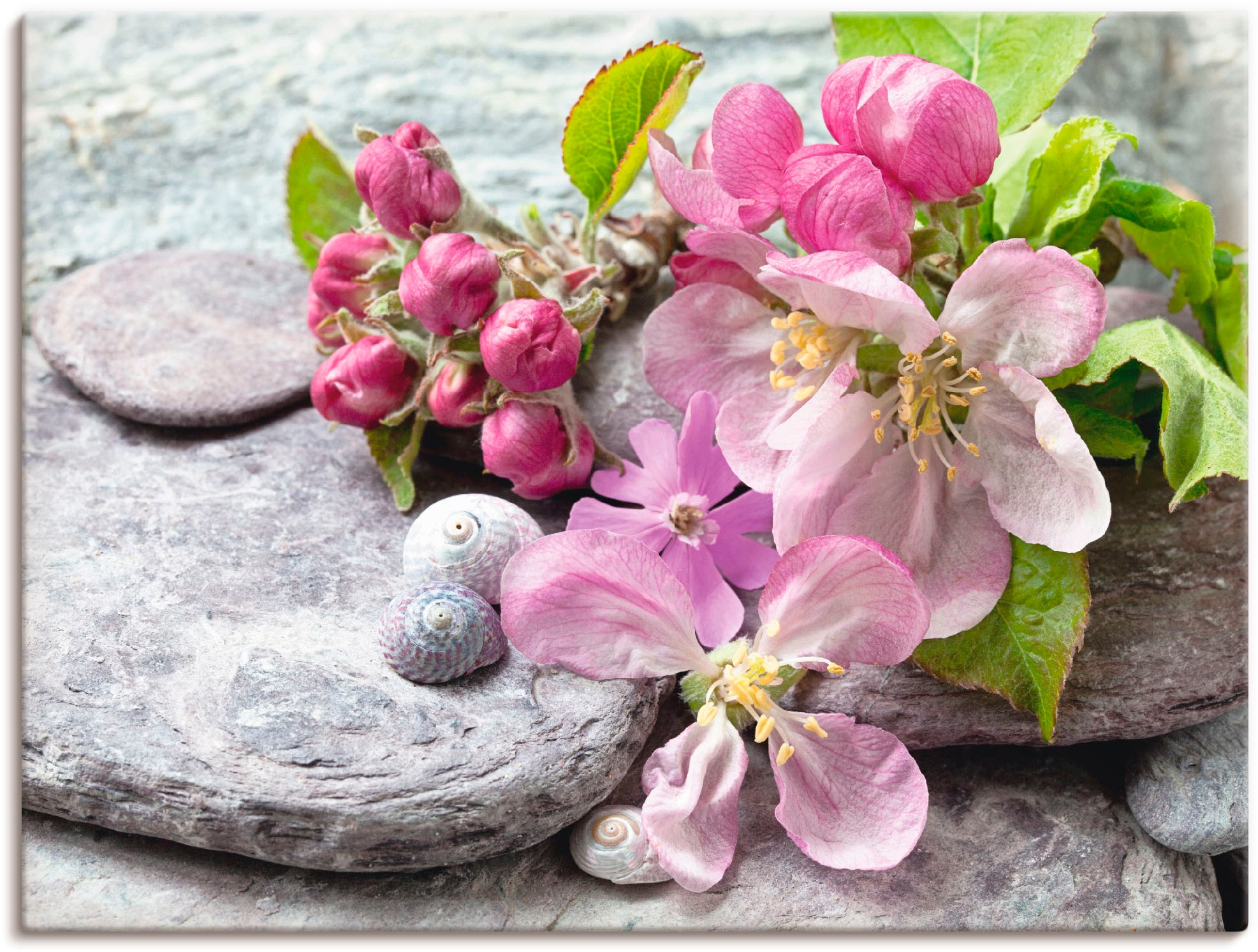 kaufen versch. St.), BAUR Leinwandbild, Wandaufkleber | Wandbild in oder (1 Artland Größen Blumenbilder, Poster als Alubild, »Rosige I.«, Blüte