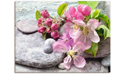 Artland Wandbild »Rosige Blüte I.«, Blumenbilder, (1 St.), als Alubild,  Leinwandbild, Wandaufkleber oder Poster in versch. Größen kaufen | BAUR