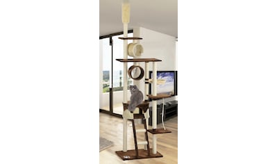 SILVIO design Kratzbaum »Mikesch«, hoch, BxTxH: 80x60x240-250 cm kaufen