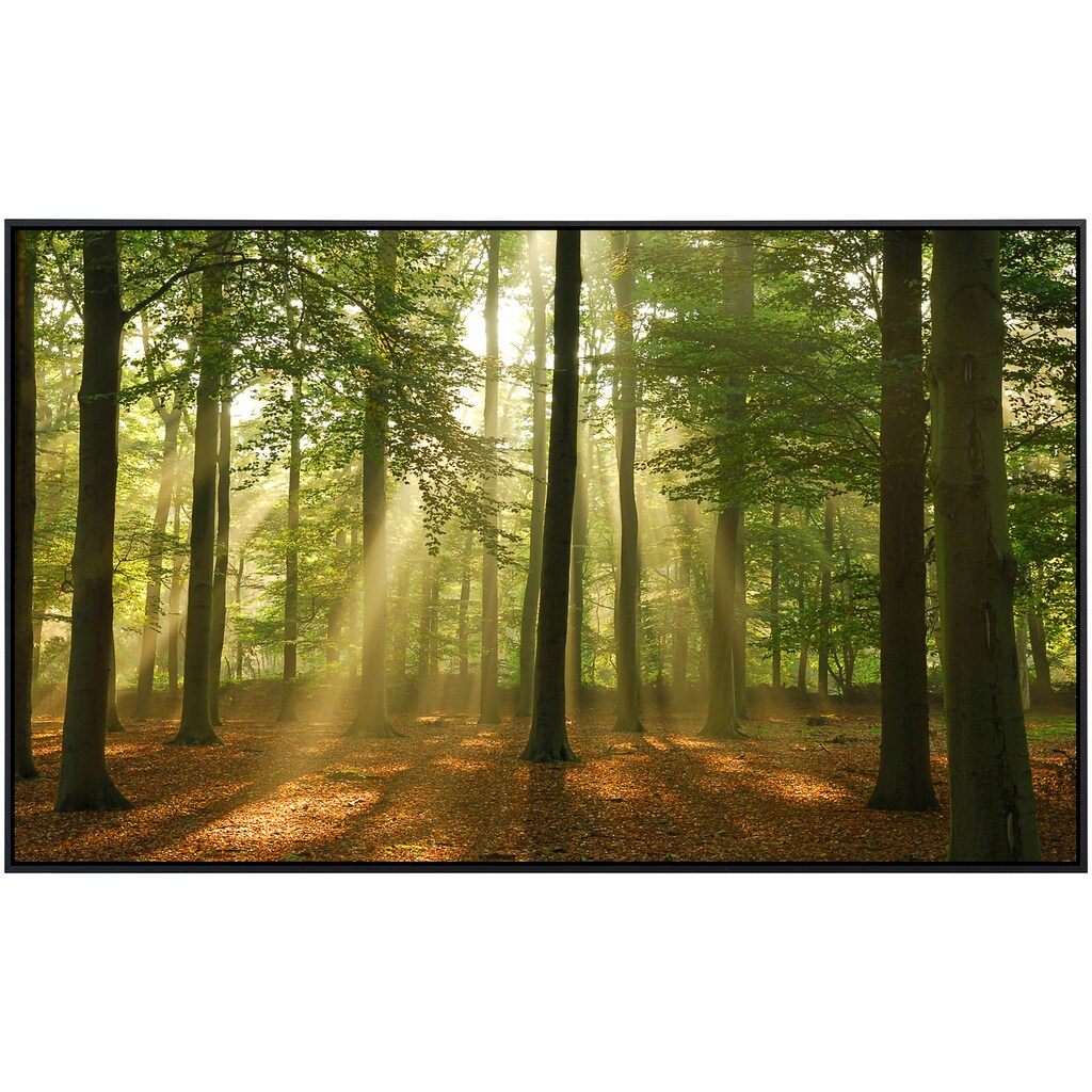 Papermoon Infrarotheizung »Wald am Morgen«