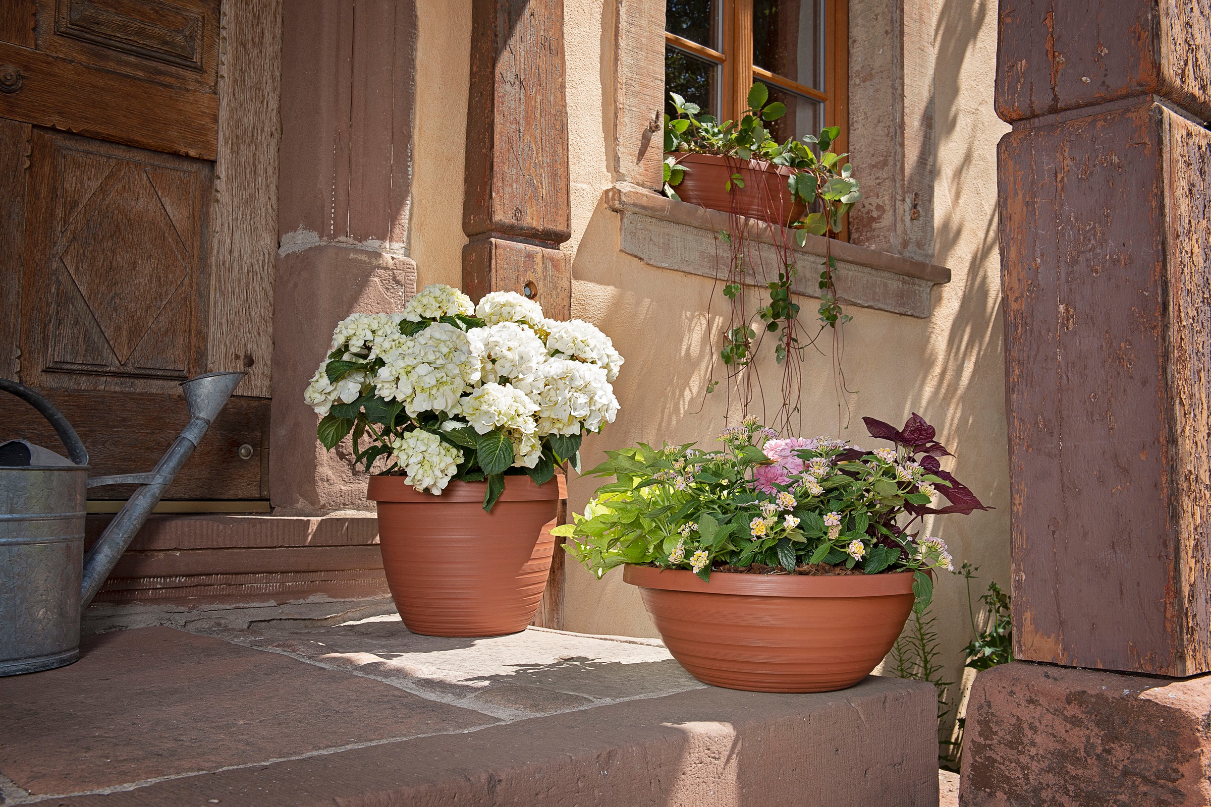 Scheurich Blumentopf »48/270 COUNTRY STAR 48«