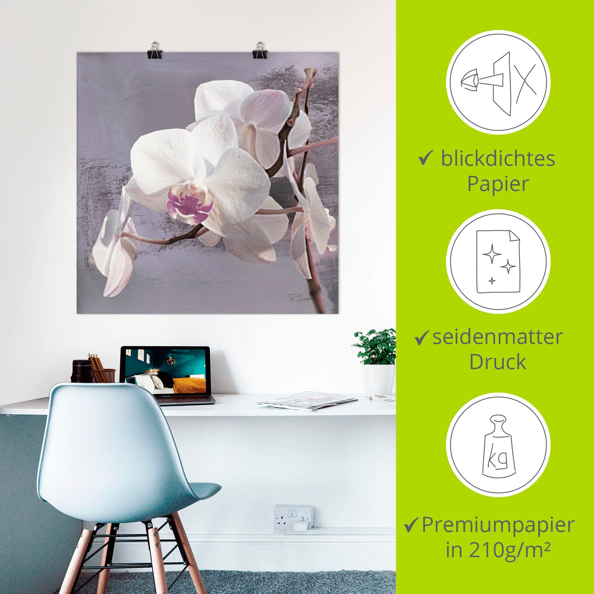 Artland Wandbild »Orchideen vor Violett I«, Blumen, (1 St.), als Alubild, Outdoorbild, Leinwandbild, Poster, Wandaufkleber