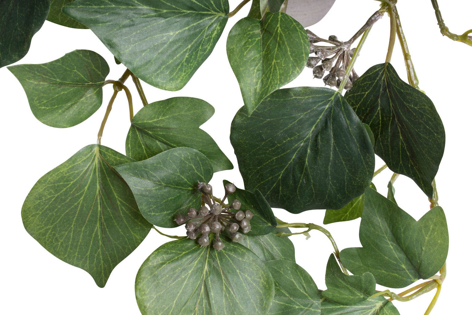 Botanic-Haus Künstliche Zimmerpflanze »Schwarzpappelhaengebusch im Tontopf«