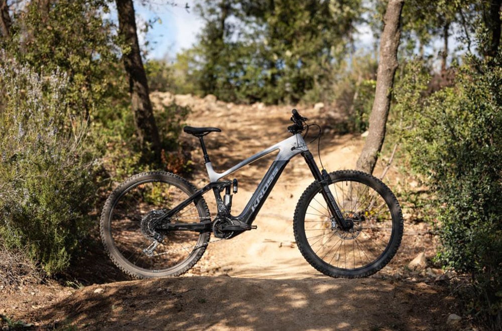 Kross E-Bike »KROSS E-MTB Moon Boost 1.0 29" grau«, 12 Gang, SRAM, GX EAGLE, Mittelmotor 250 W