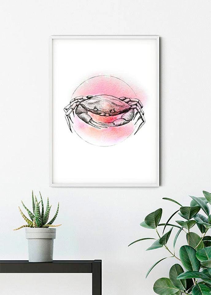 Komar Bild »Crab Watercolor« Tiere 1 Stk. tlg. Wandbild zur Dekoration - ohne Rahmen