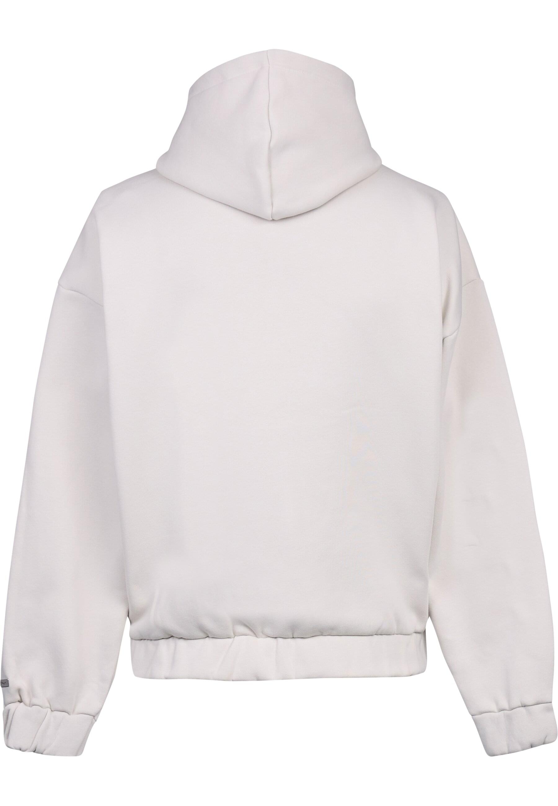 Dropsize Sweatjacke "Dropsize SUPER HEAVY OVERSIZE BLANK ZIPPER" günstig online kaufen