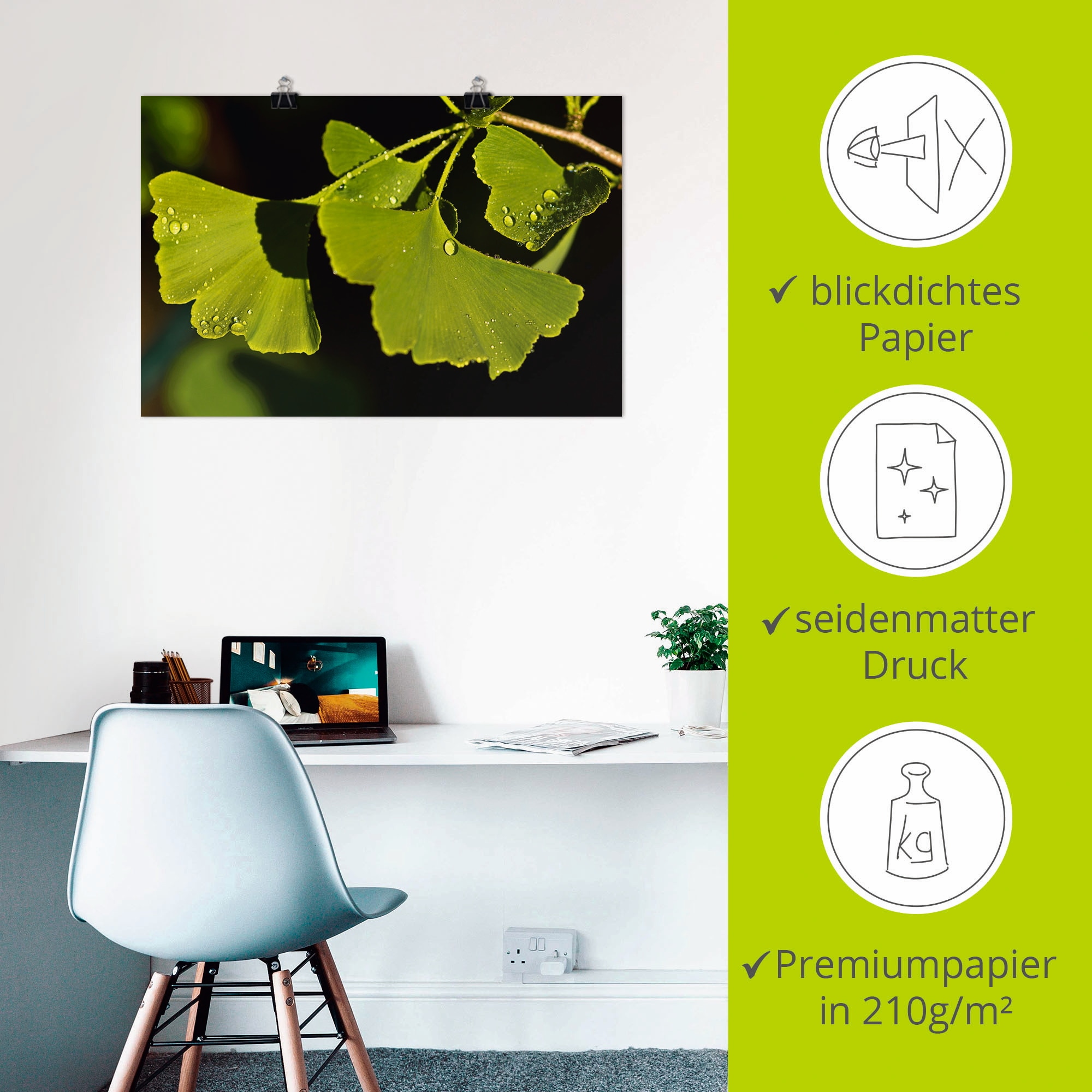 Artland Wandbild »Ginkgo Blätter«, Blätter, (1 St.), als Alubild, Outdoorbild, Poster in verschied. Größen