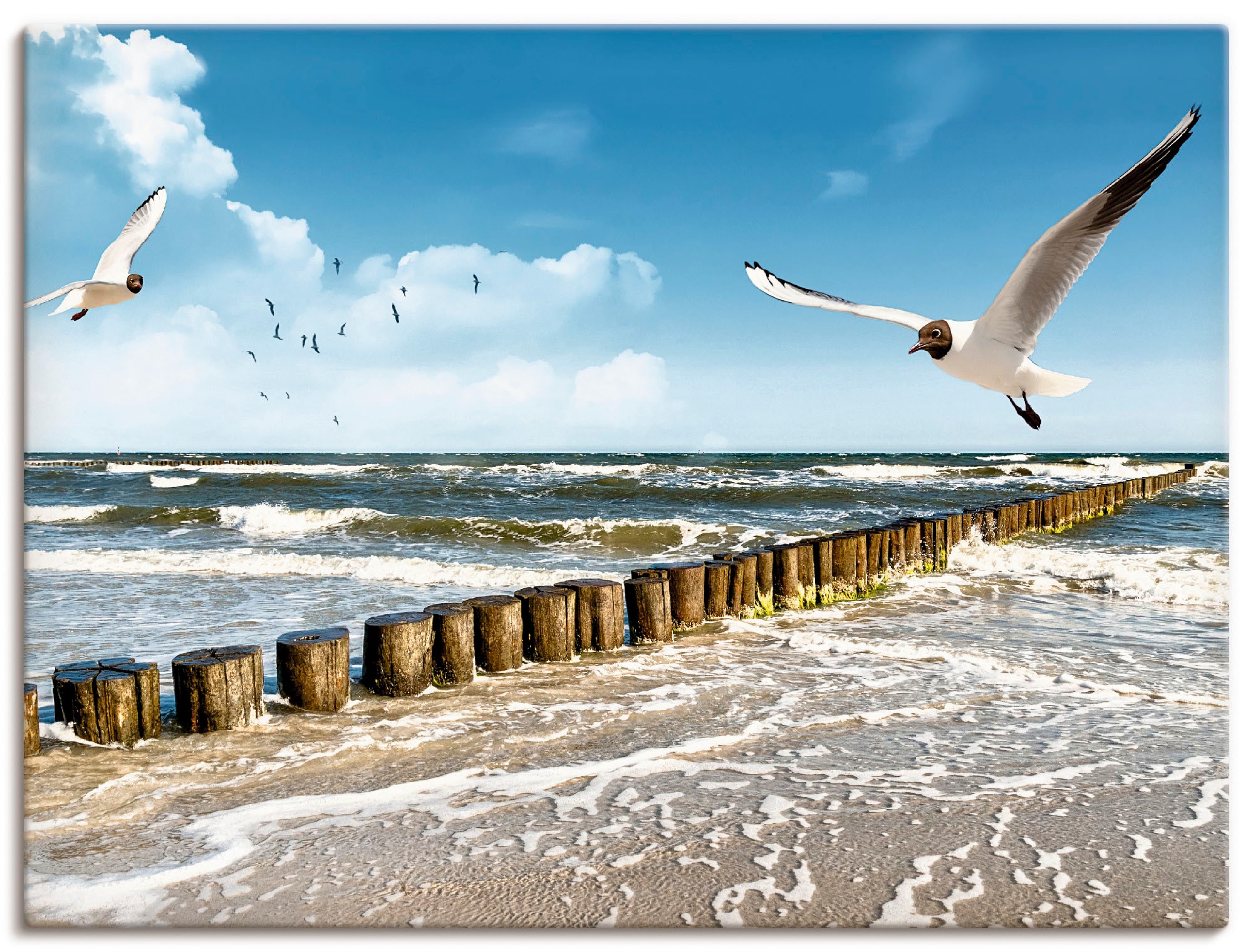 Artland Wandbild "Ostsee" Gewässer 1 Stk. tlg. als Leinwandbild, Poster, Wa günstig online kaufen