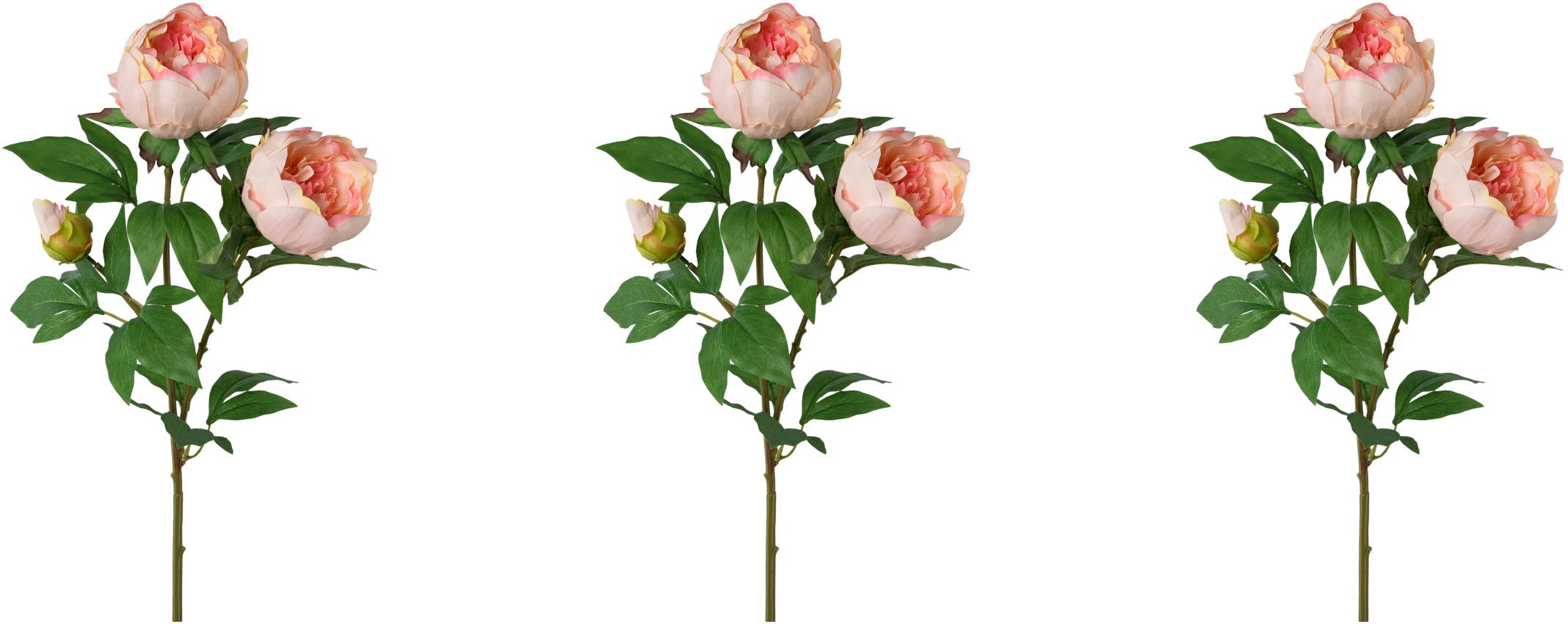 Creativ green Kunstblume "Peonienzweig" günstig online kaufen