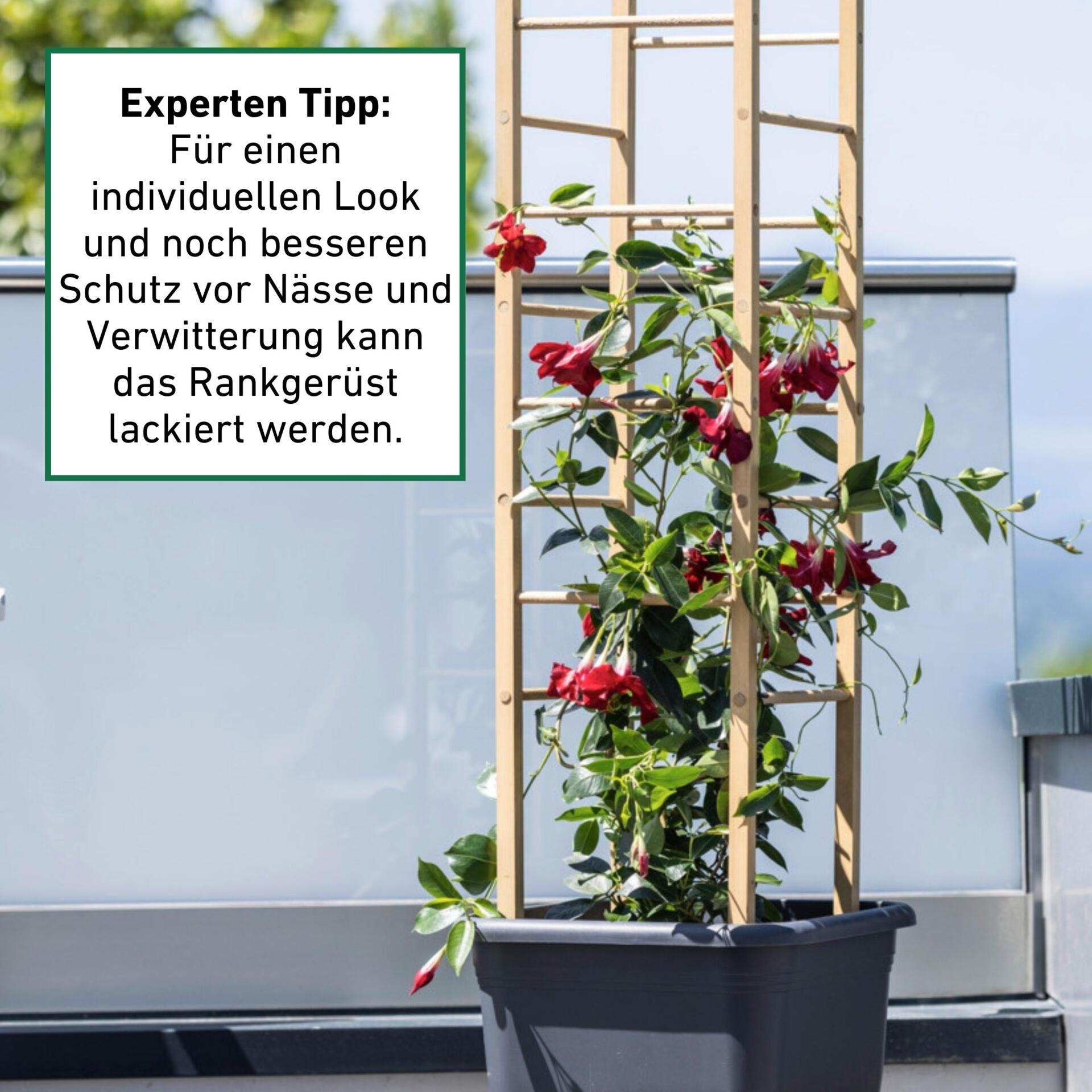 Windhager Rankgitter »Holz-Rankturm für Blumen und Gemüsepflanzen« Kletterhilfe für den Garten, 29 x 29 x 145 cm