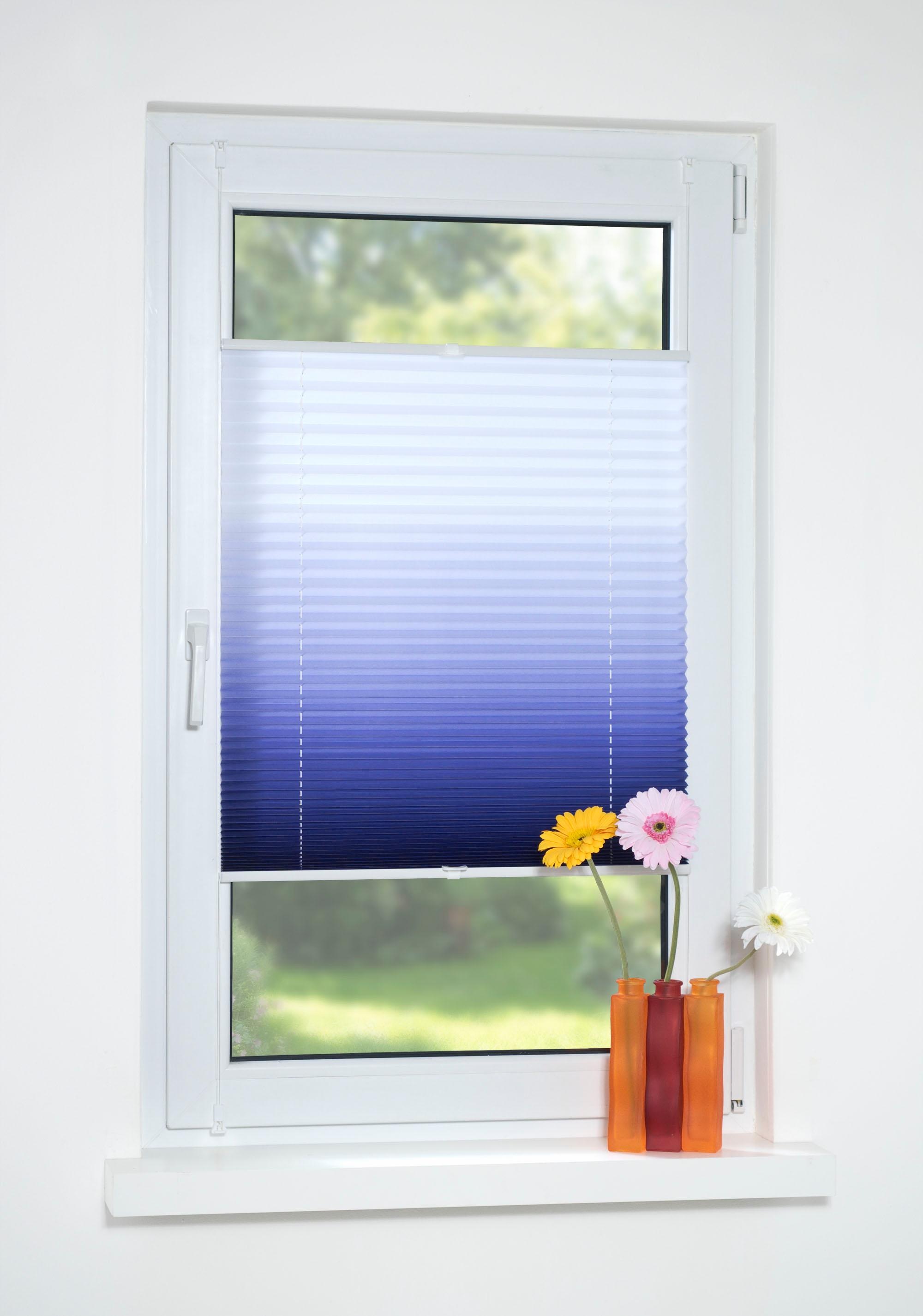 Liedeco Plissee "Farbverlauf" Lichtschutz ohne Bohren verspannt günstig online kaufen