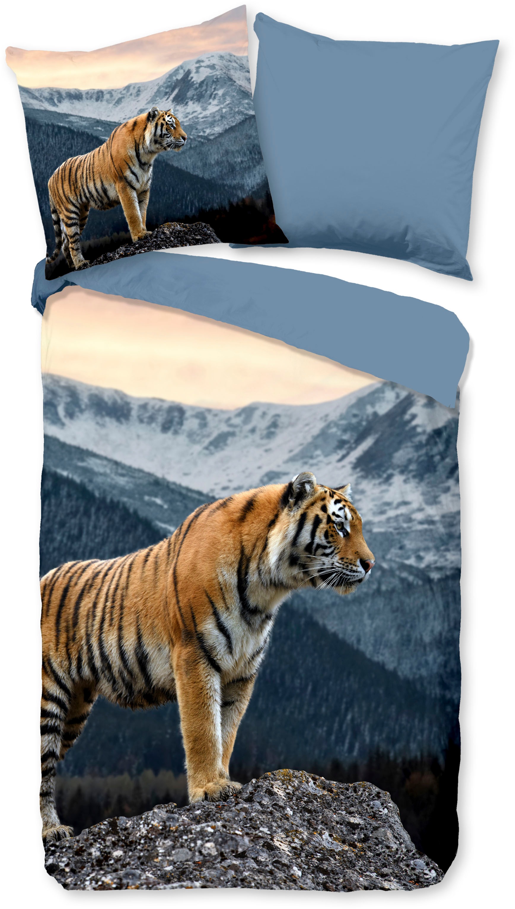 PURE luxury collection Wendebettwäsche "Sky" 2 Stk. Mikrofaser, 135x200, Pf günstig online kaufen