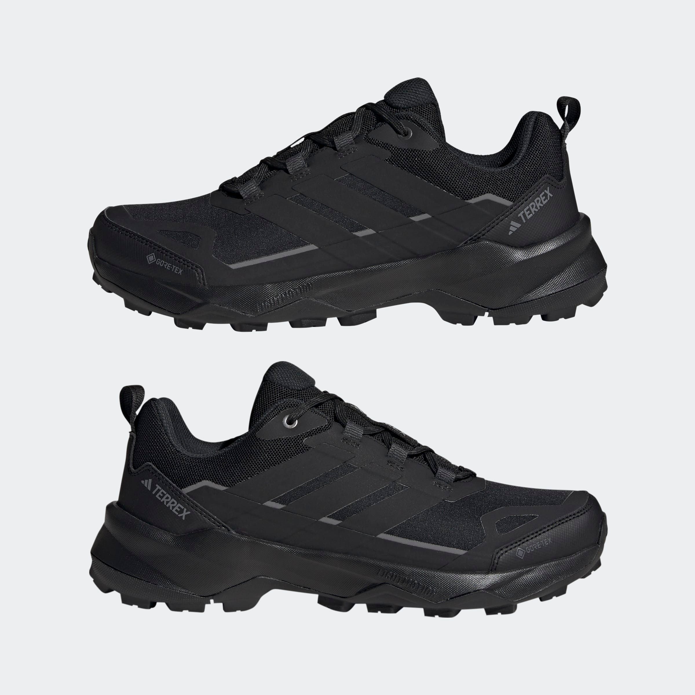 adidas TERREX Wanderschuh »TERREX SKYCHASER AX5 GORE-TEX E«, wasserdicht