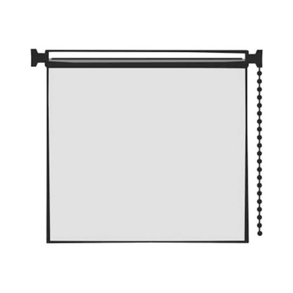 LICHTBLICK ORIGINAL Seitenzugrollo »Klemmfix Motiv Muschel«, Lichtschutz, ohne Bohren, freihängend