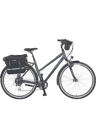 E-Bike »Entdecker e9000 Damen«, 8 Gang, Shimano, Acera, Heckmotor 250 W