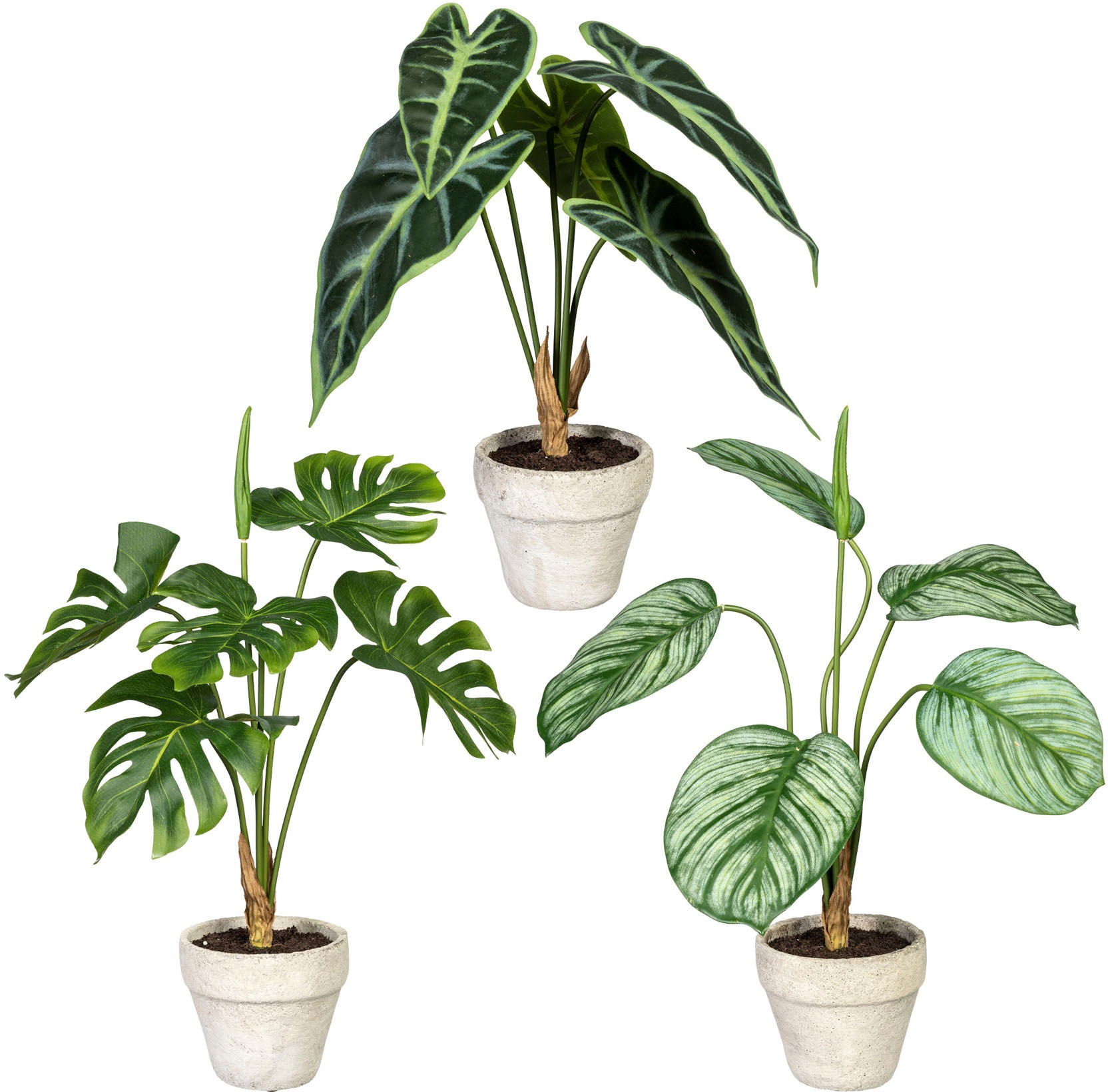 Creativ green Künstliche 3er Set Grünpflanzen«, bestellen | Zementtopf, aus BAUR im Zimmerpflanze »Set