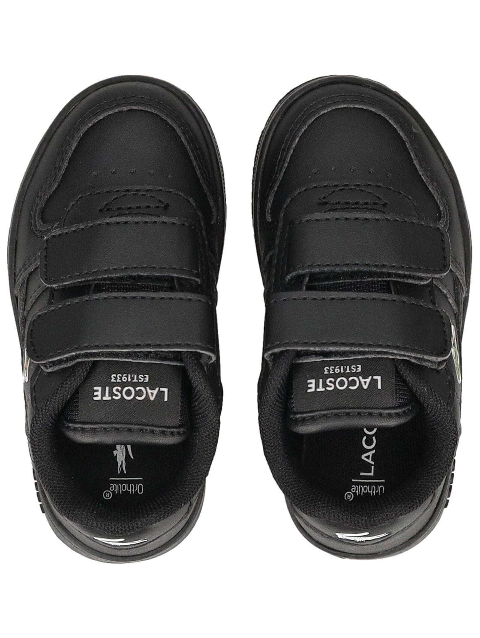 Lacoste Sneaker »lacoste Sneaker Lederimitat«