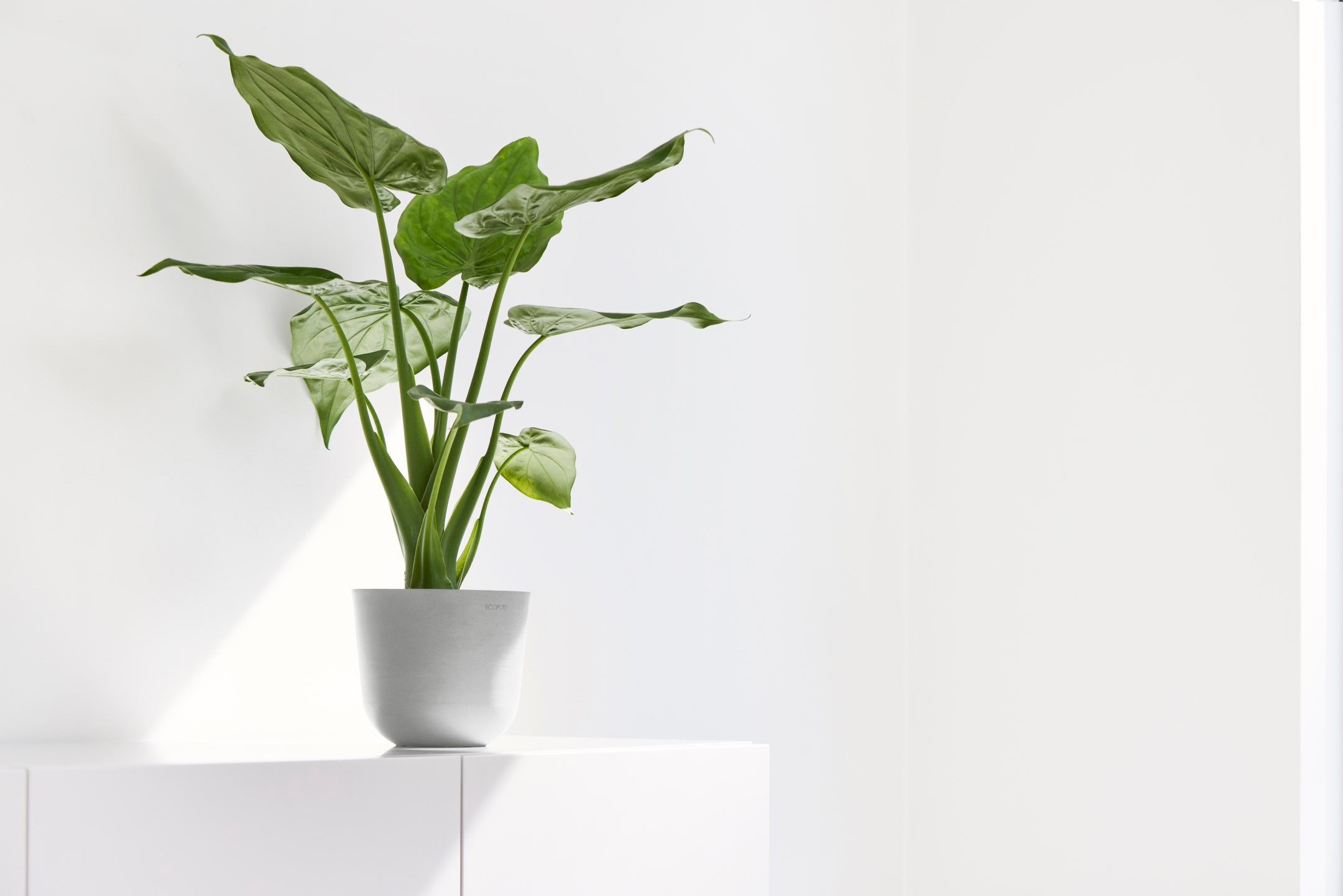 ECOPOTS Blumentopf »Oslo Mini 16 Weißgrau« für den Innenbereich