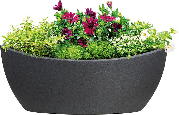 Scheurich Jardiniere »58/253 WA.GLOBE«