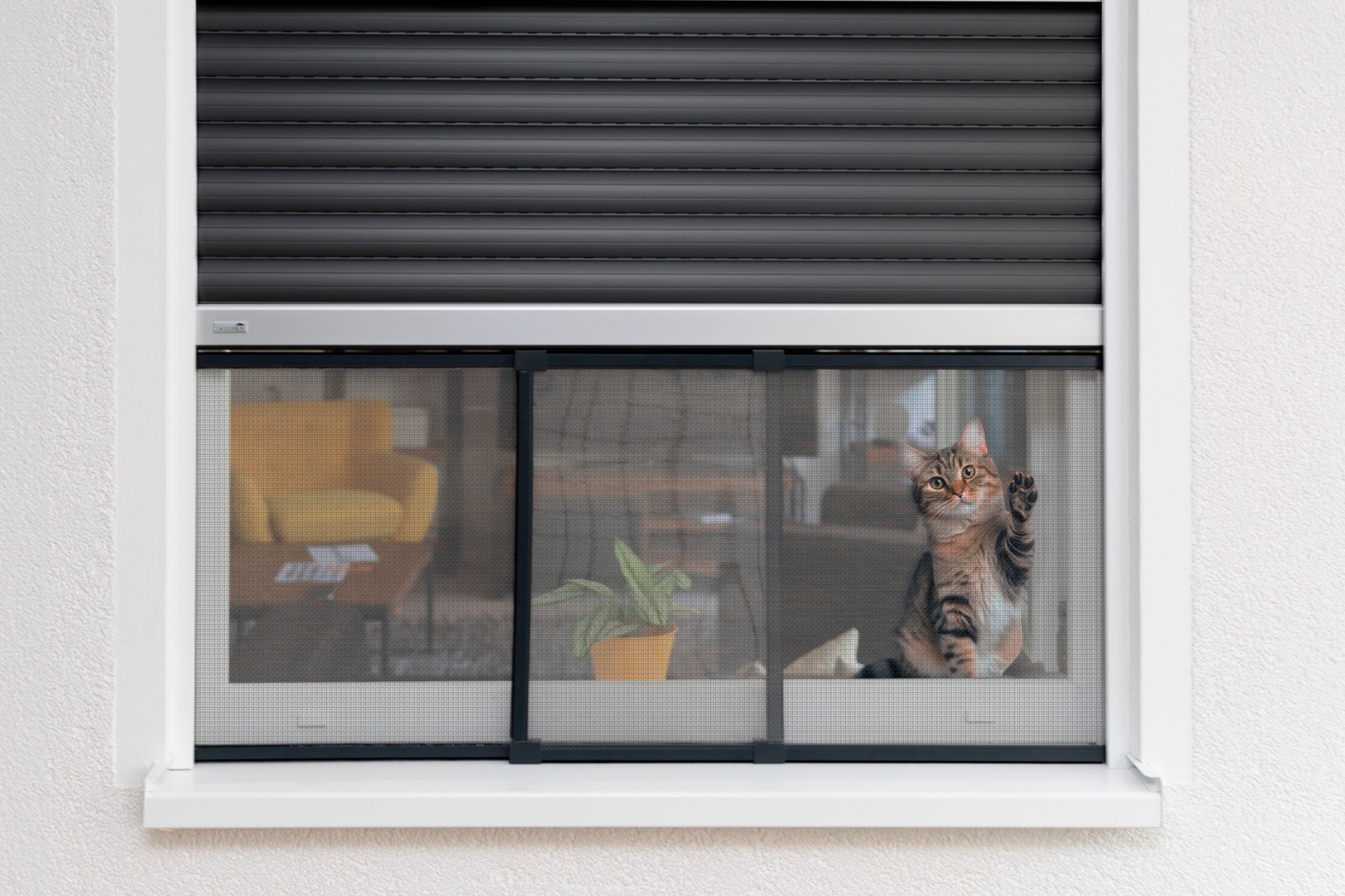 SCHELLENBERG Insektenschutz-Fensterrahmen »"Insectstop Slide", ausziehbares Fliegengitter mit Aluminiumgewebe«, ohne bohren, max. 50 x 142 cm in weiß und anthrazit