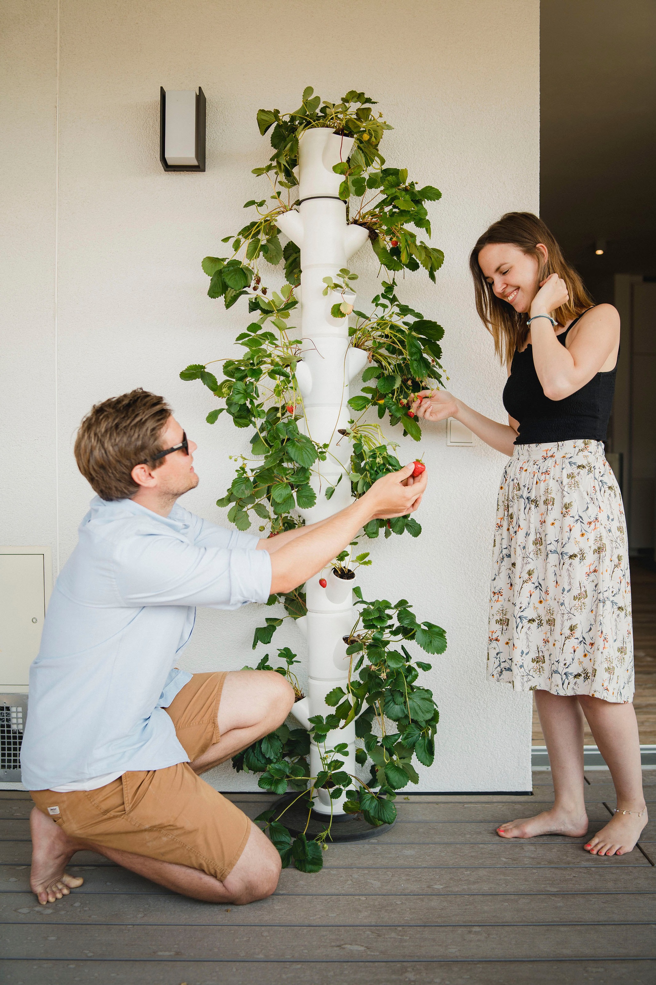 Gusta Garden Pflanzkübel »SISSI STRAWBERRY leicht Erdbeerbaum«, BAUR 10 Etagen gemacht | Untersetzer, inkl. Erdbeeren anbauen bestellen