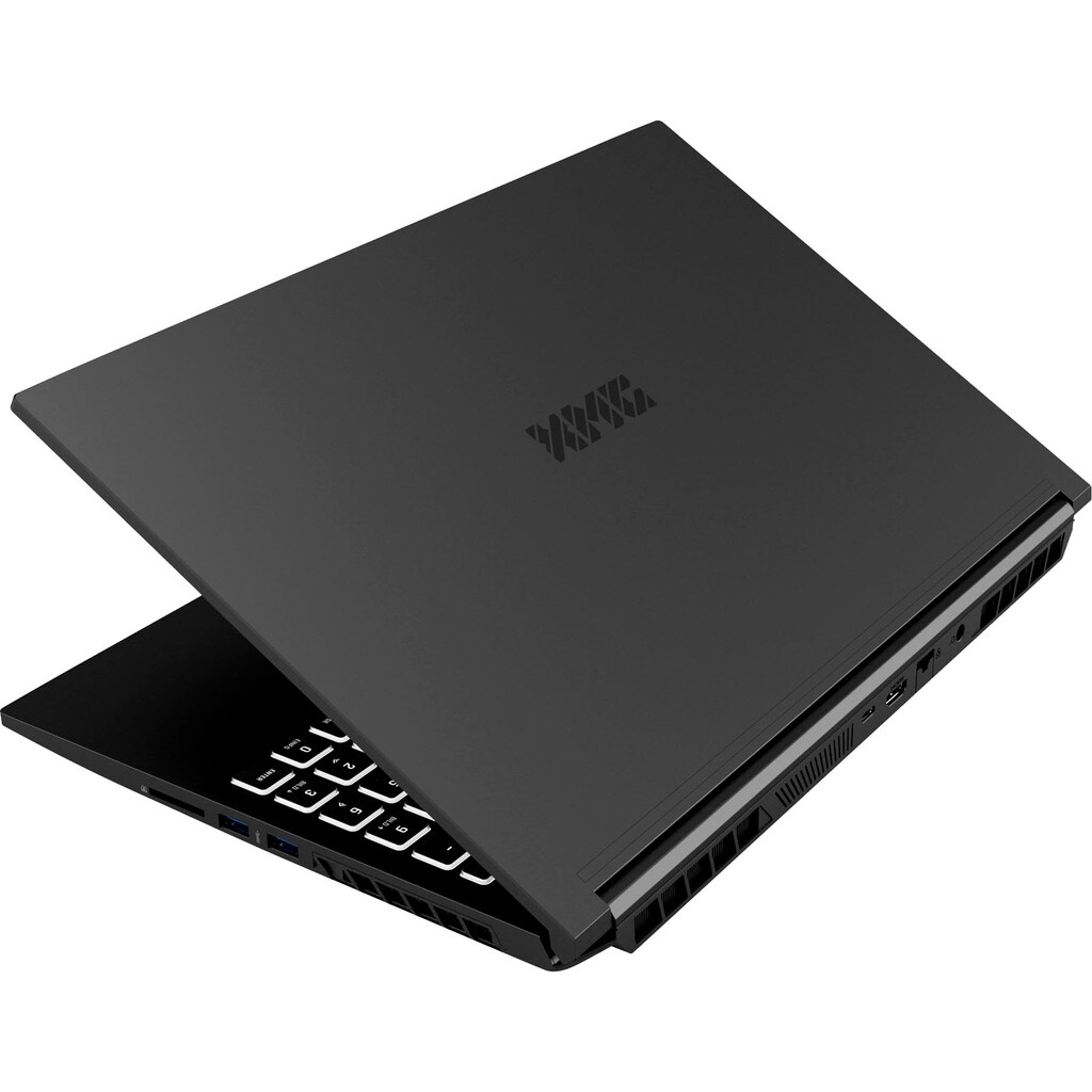 XMG Notebook »XMG CORE 15 - E21tpn«, 39,62 cm, / 15,6 Zoll, Intel, Core i7, GeForce RTX 3060, 1000 GB SSD