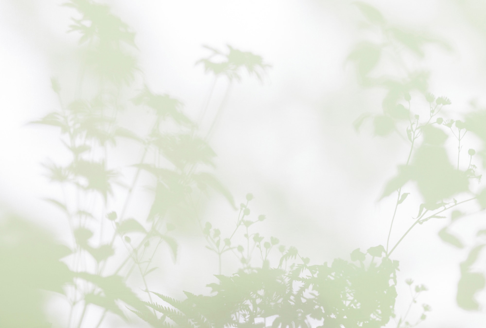 living walls Fototapete "Walls by Patel Shadow Room" glatt Vlies, Wand günstig online kaufen