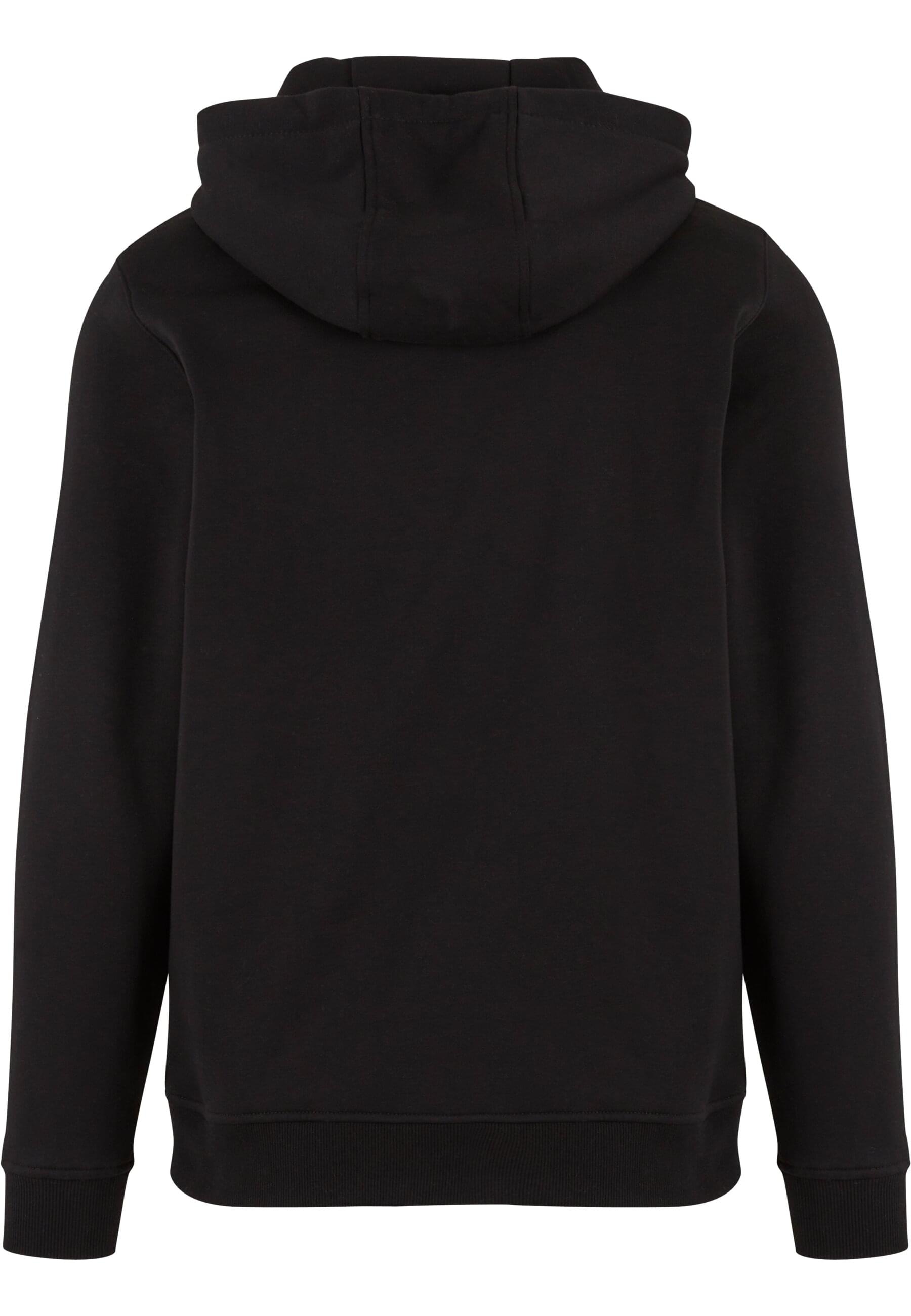 MisterTee Kapuzensweatshirt »MisterTee USA College Wording Patch Hoody«, (1 tlg.)
