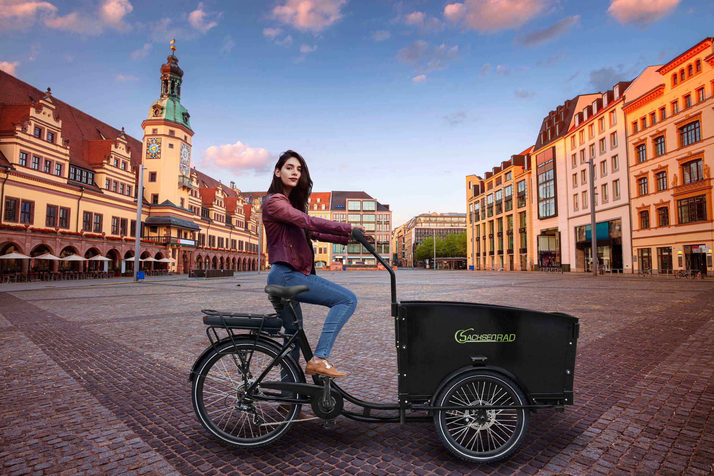 SachsenRad E-Bike, 7 Gang, Shimano, Shimano 7-Gang-Kettenschaltung, Heckmotor 250 W
