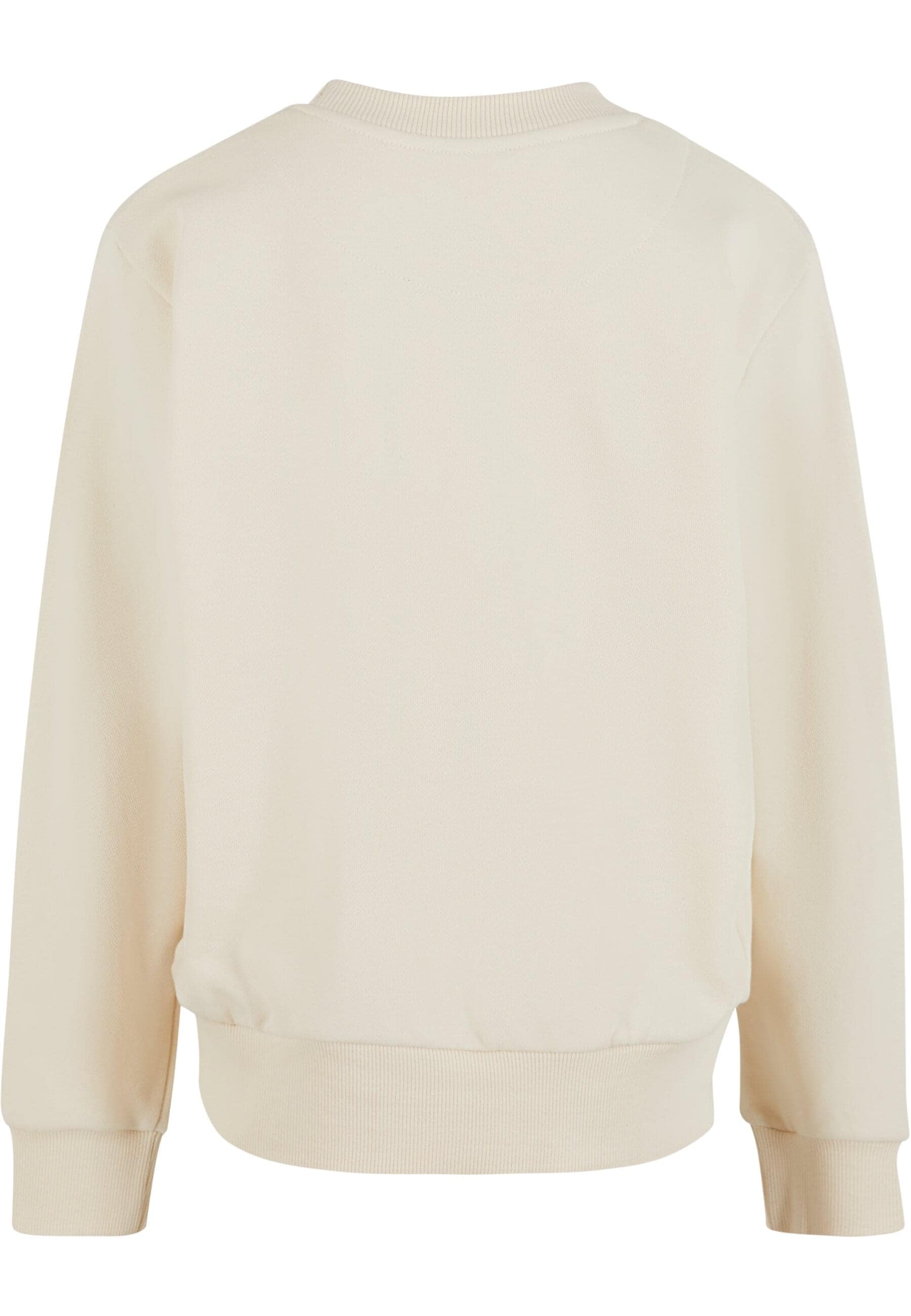 URBAN CLASSICS Rundhalspullover »Urban Classics Boys Light Terry Crew«, (1 tlg.)