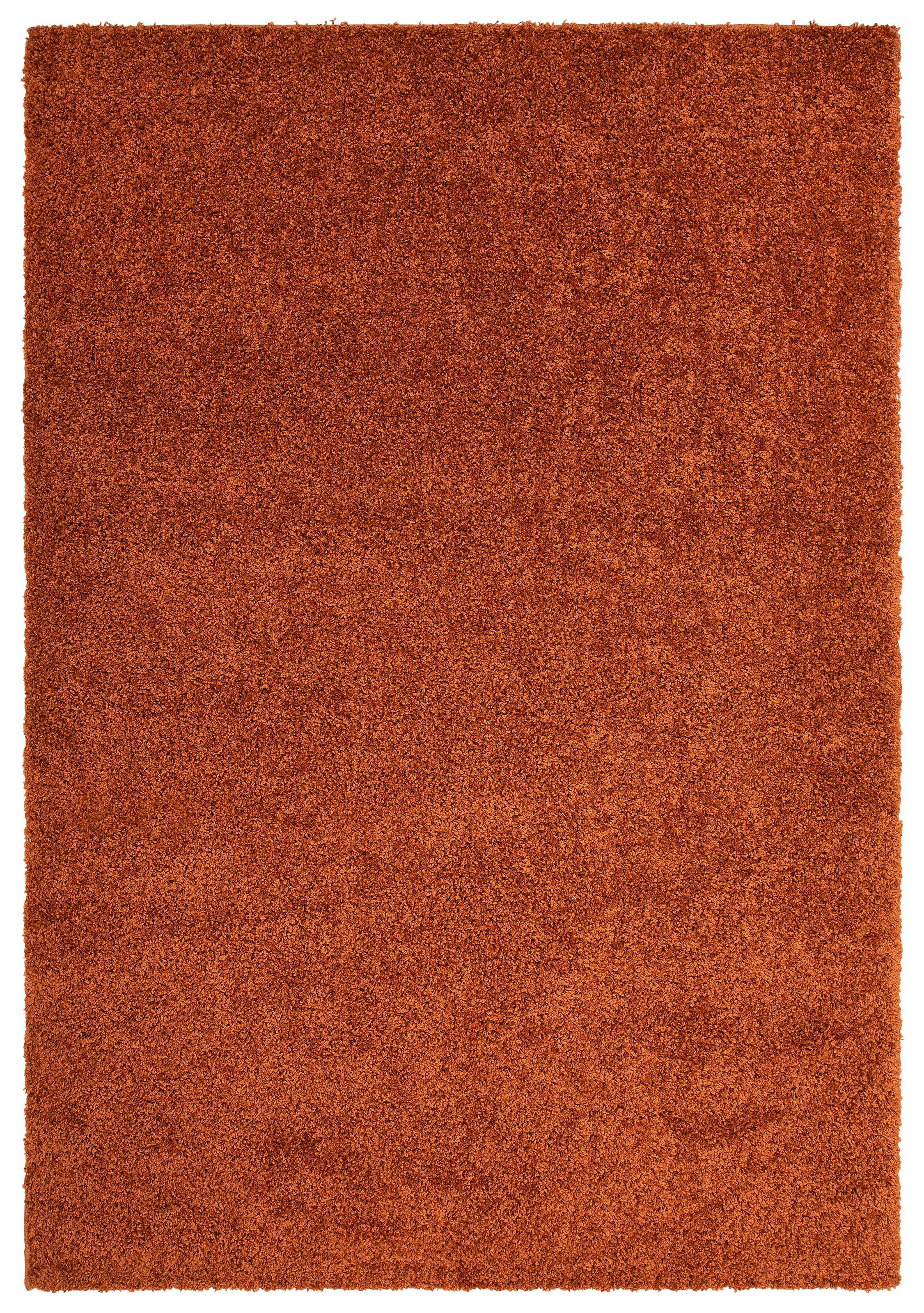 my home Hochflor-Teppich "Viva Shaggy, in Standard- und Premium-Qualität, 3 günstig online kaufen