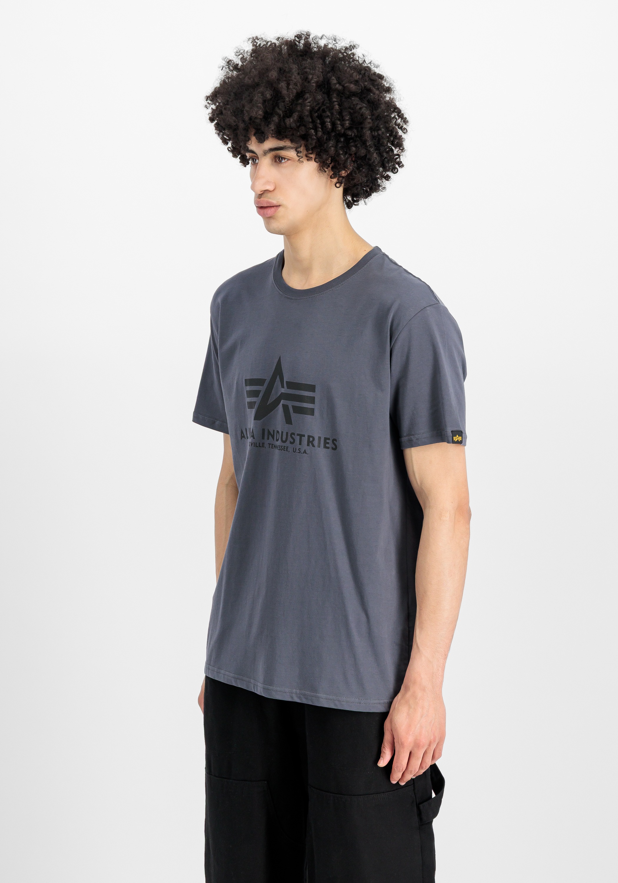 Alpha Industries T-Shirt »Alpha Industries Men - T-Shirts Basic T-Shirt BL«