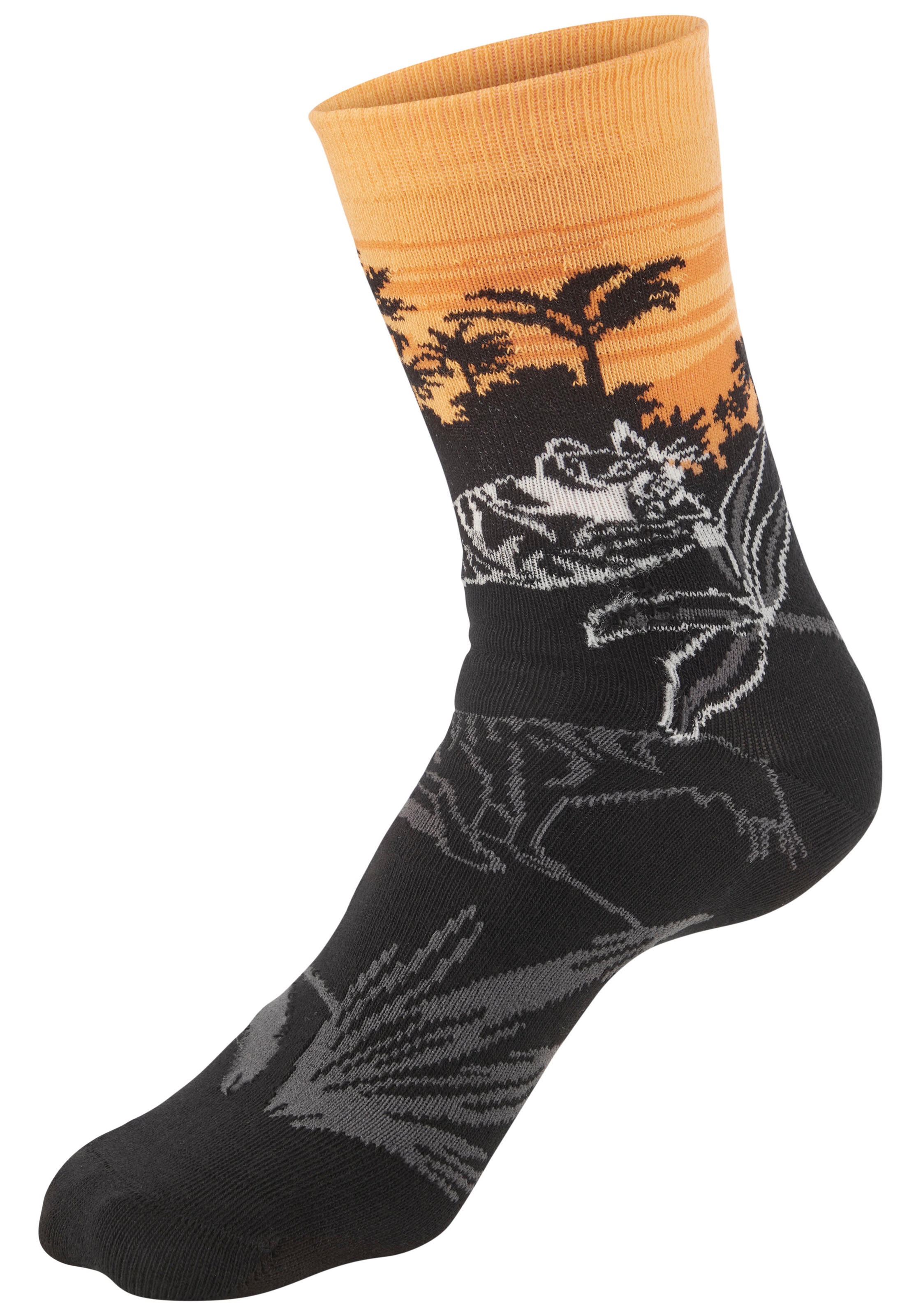 H.I.S Basicsocken Packung, 5 Paar tlg. mit aufwendigen Designs