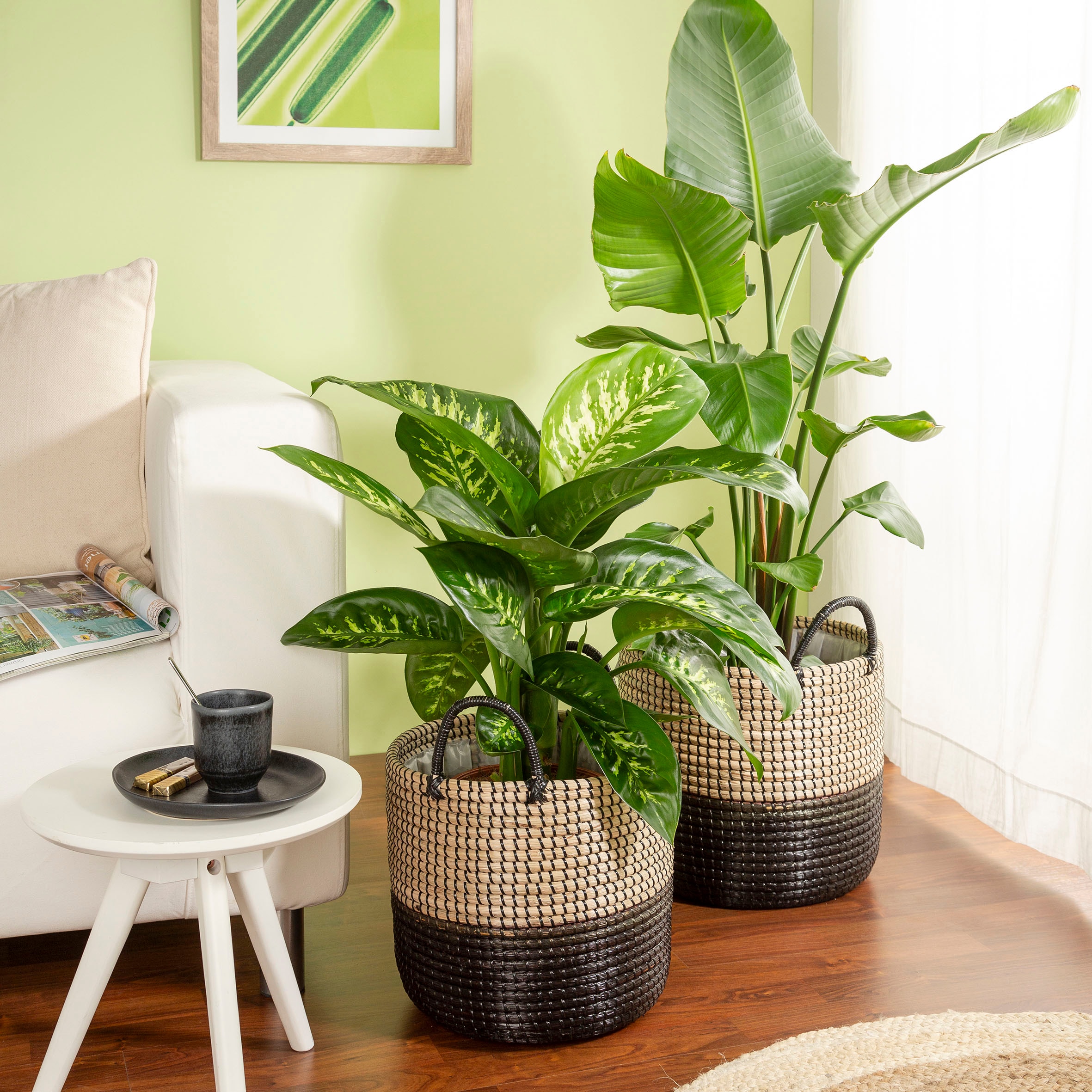 Scheurich Blumentopf »nature black 27/515«