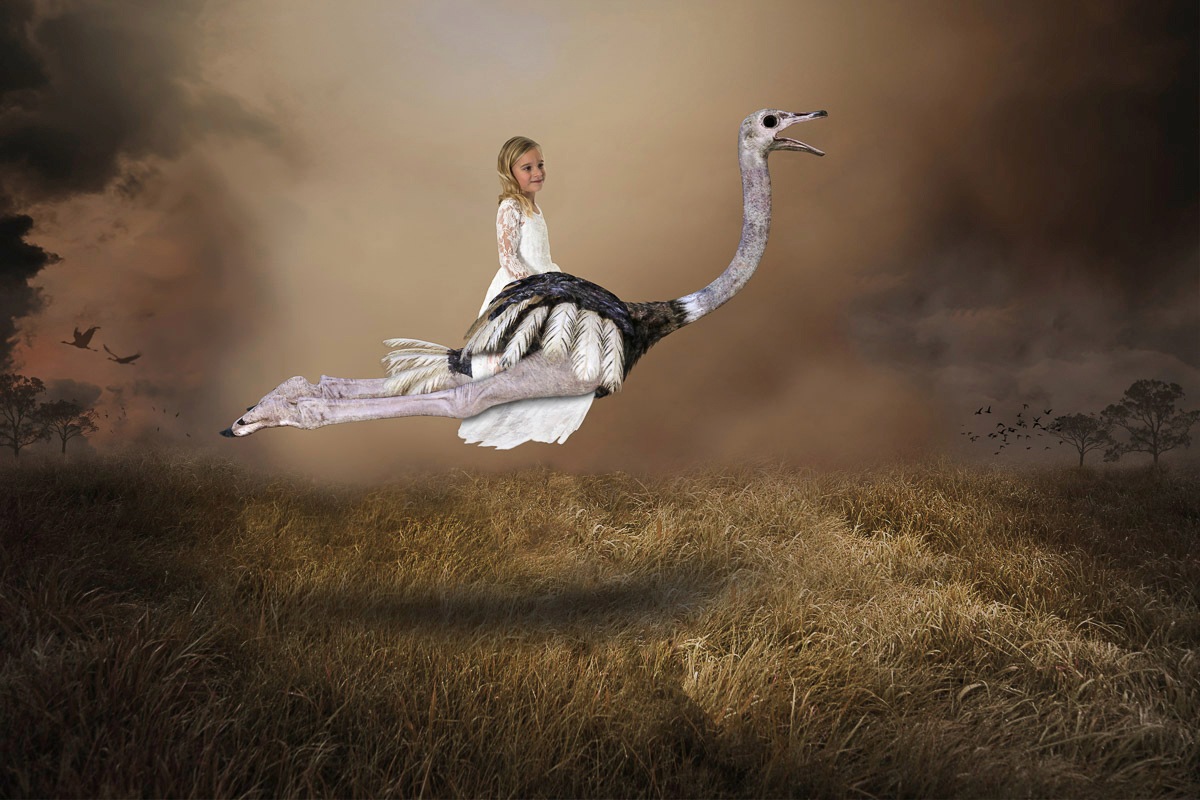 PAPERMOON Fototapete "Mädchen Strauß Vogel Liebe Hoffnung", B/L: 4,5mm x 2,8mm, Bahnen: 9 Stk. St., bunt, Schlafzimmer, Tapeten