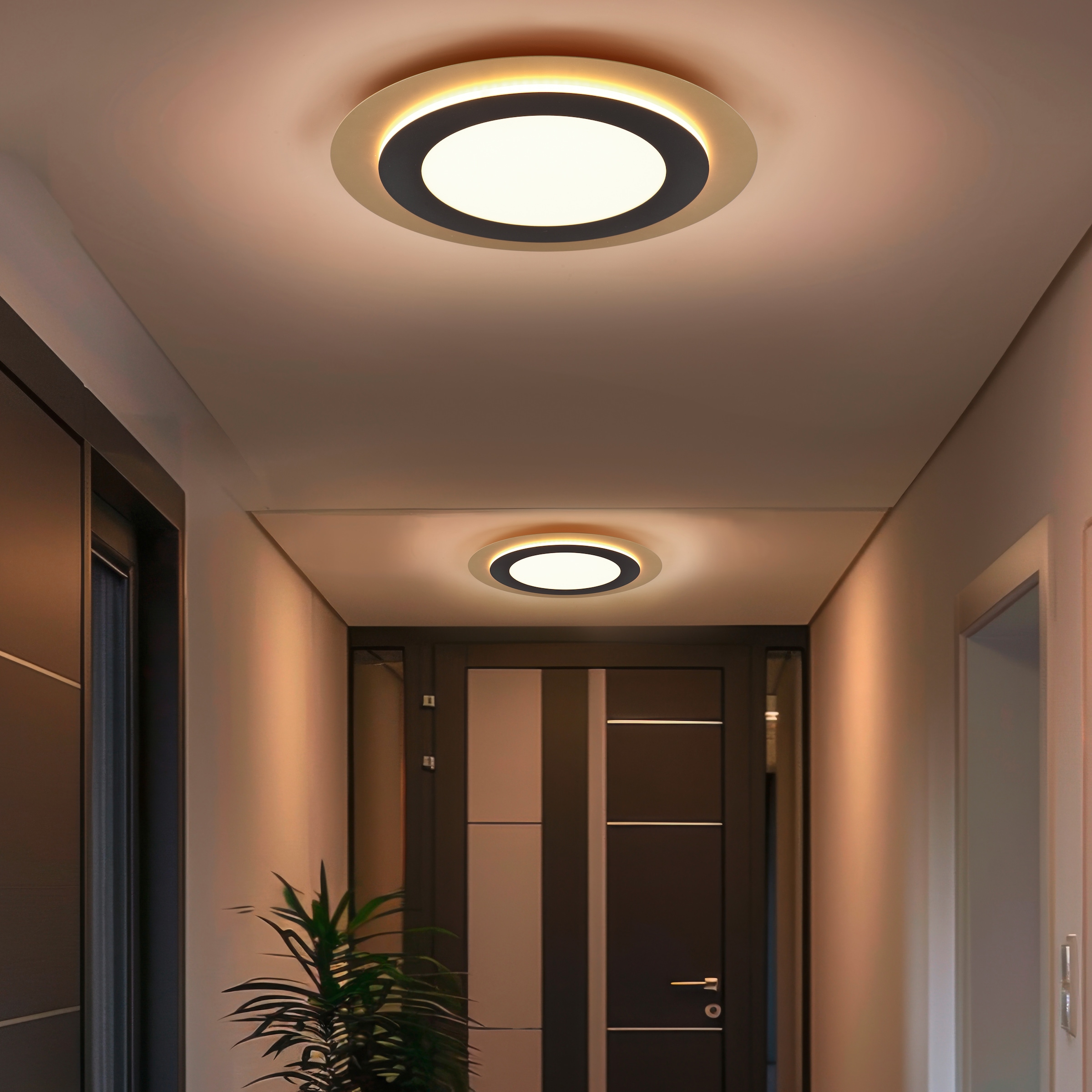 TRIO Leuchten LED Deckenleuchte »MORGAN, runde Deckenlampe Ø 45cm, dimmbar, CCT, Memoryfunktion, Timer«, 1 flammig, Leuchtmittel LED-Board | LED fest integriert, Nachtlicht, 42W 5600 Lumen, 2700-6500 Kelvin, inkl Fernbedienung