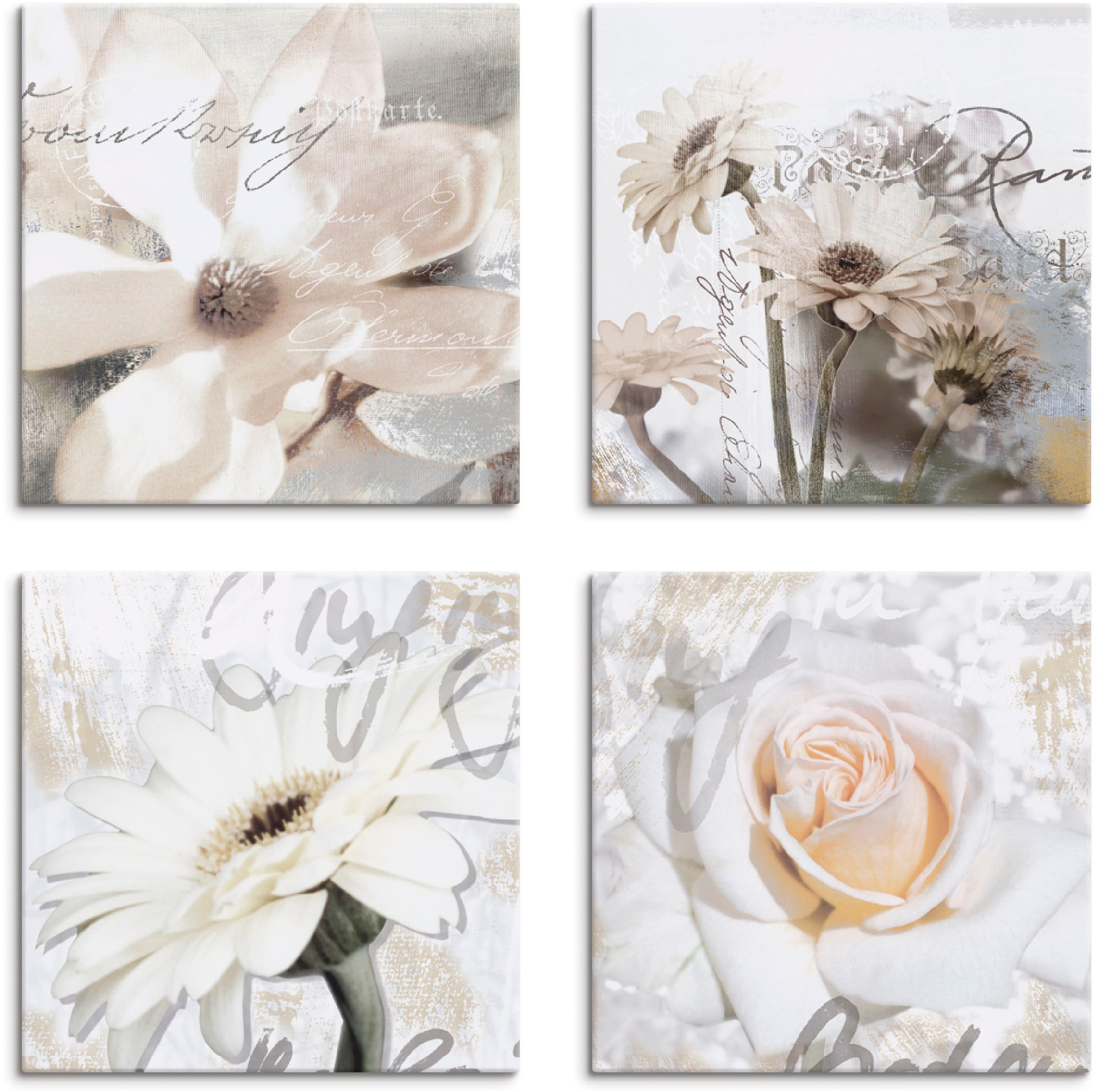 Leinwandbild »Magnolie Gerberas Rosen in Buchstaben«, Blumen, (4 St.), 4er Set,...
