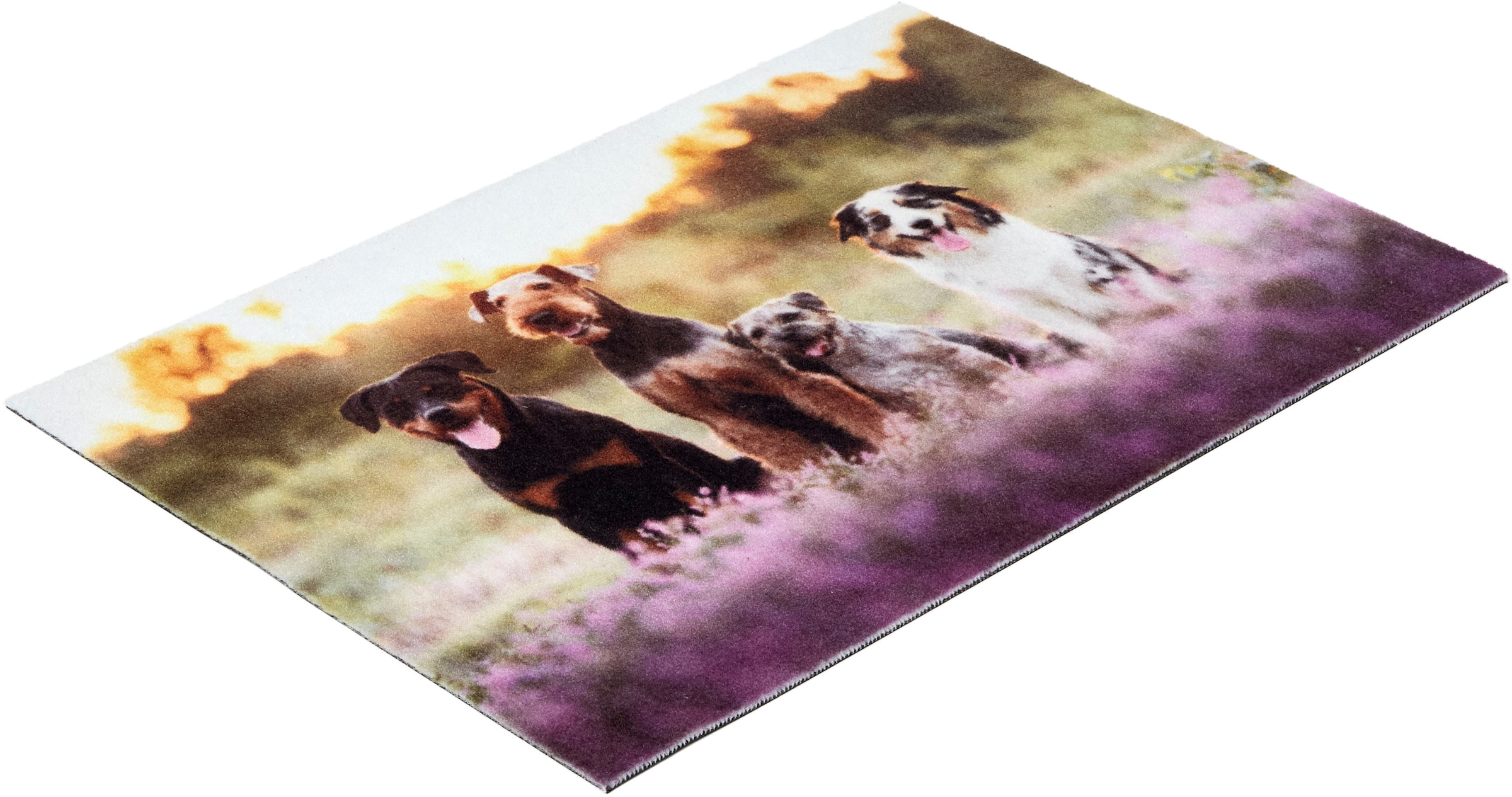 ASTRA Fußmatte »Deco Print 107« rechteckig 5 mm Höhe Sauberlaufmatte, Türmatte, waschbar, Eingangsbereich, rutschfest